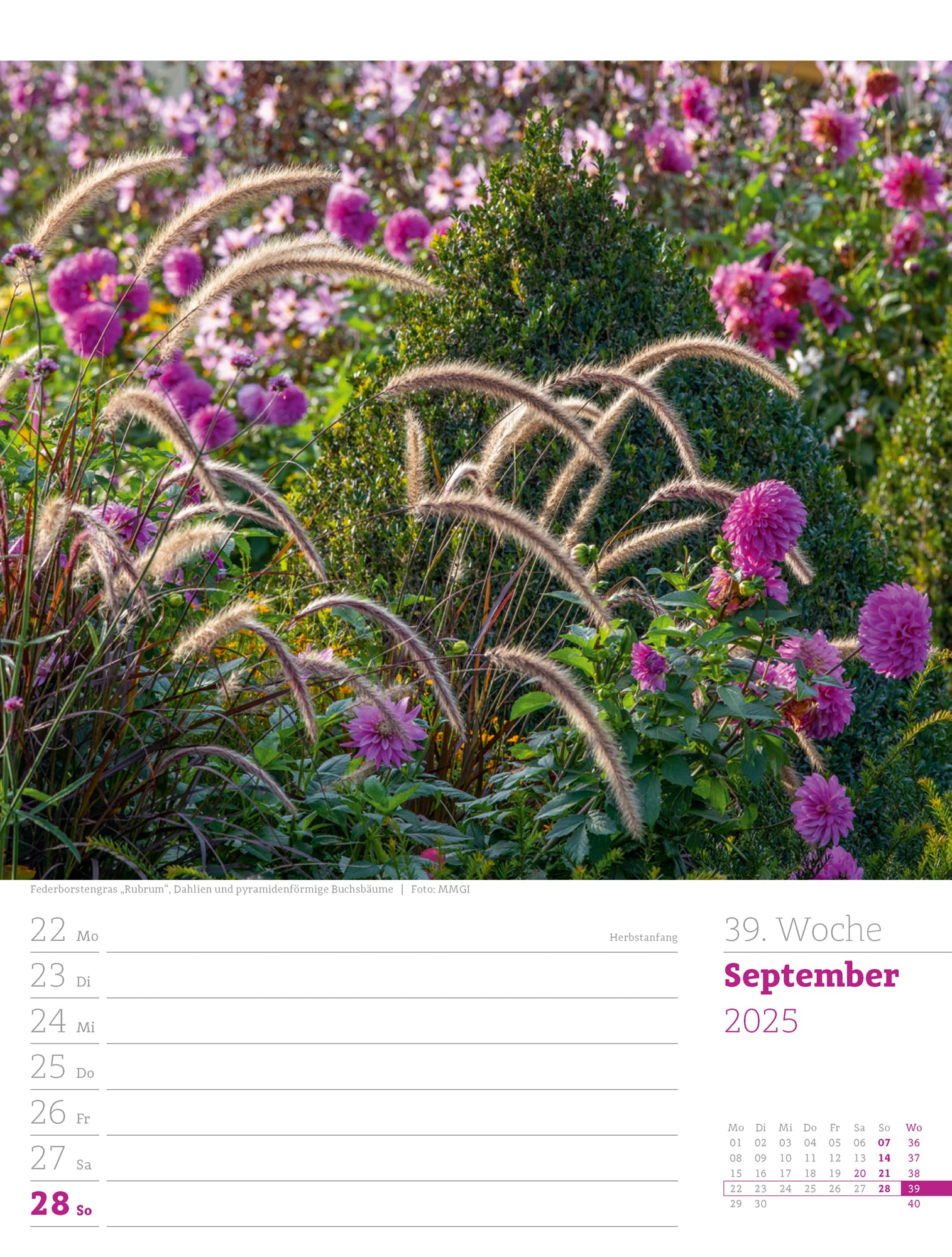 Ackermann Calendar Beautiful Gardens 2025 - Weekly Planner - Inside View 42