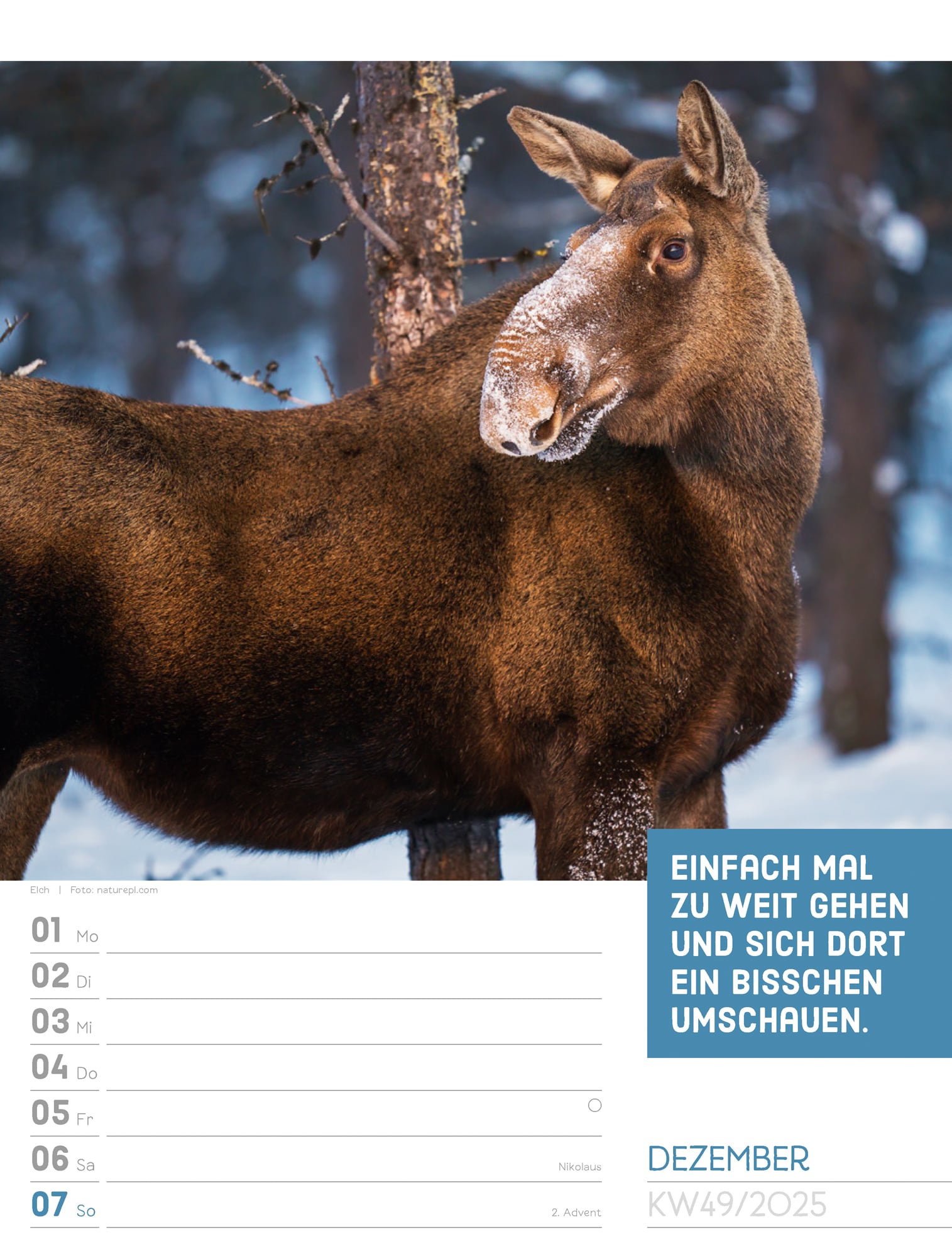 Ackermann Calendar Animals 2025 - Weekly Planner - Inside View 52
