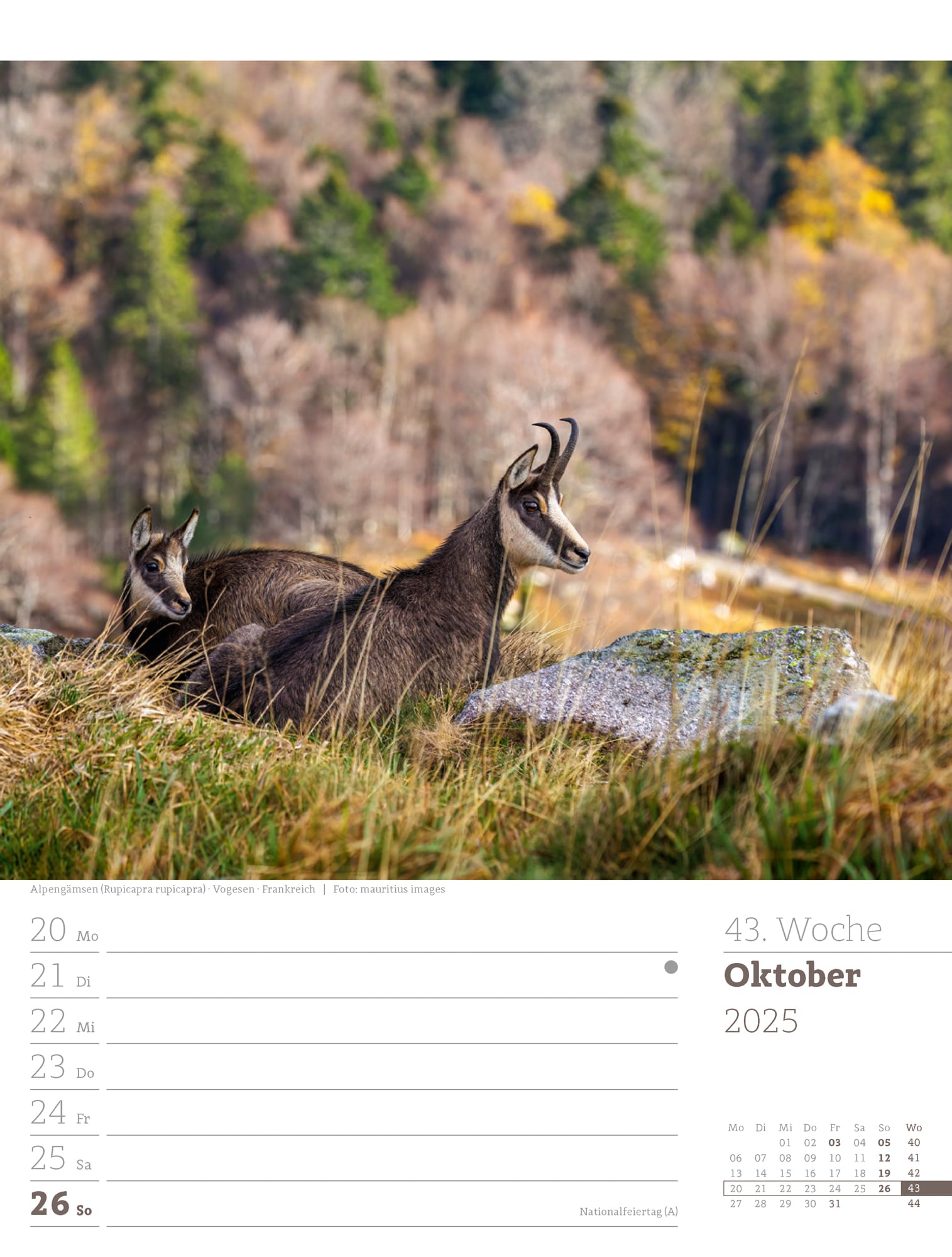 Ackermann Calendar Alps 2025 - Weekly Planner - Inside View 46
