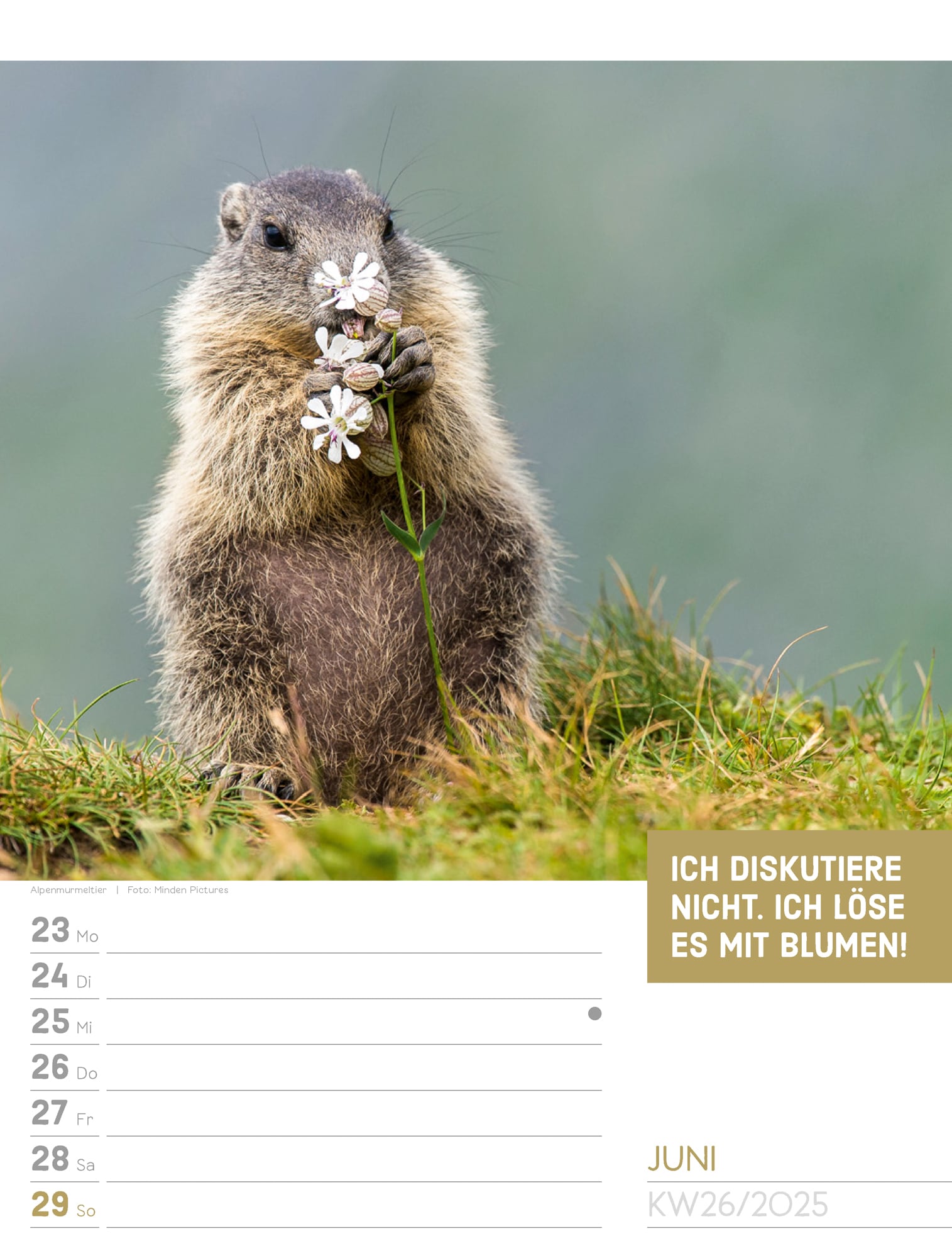 Ackermann Calendar Animals 2025 - Weekly Planner - Inside View 29