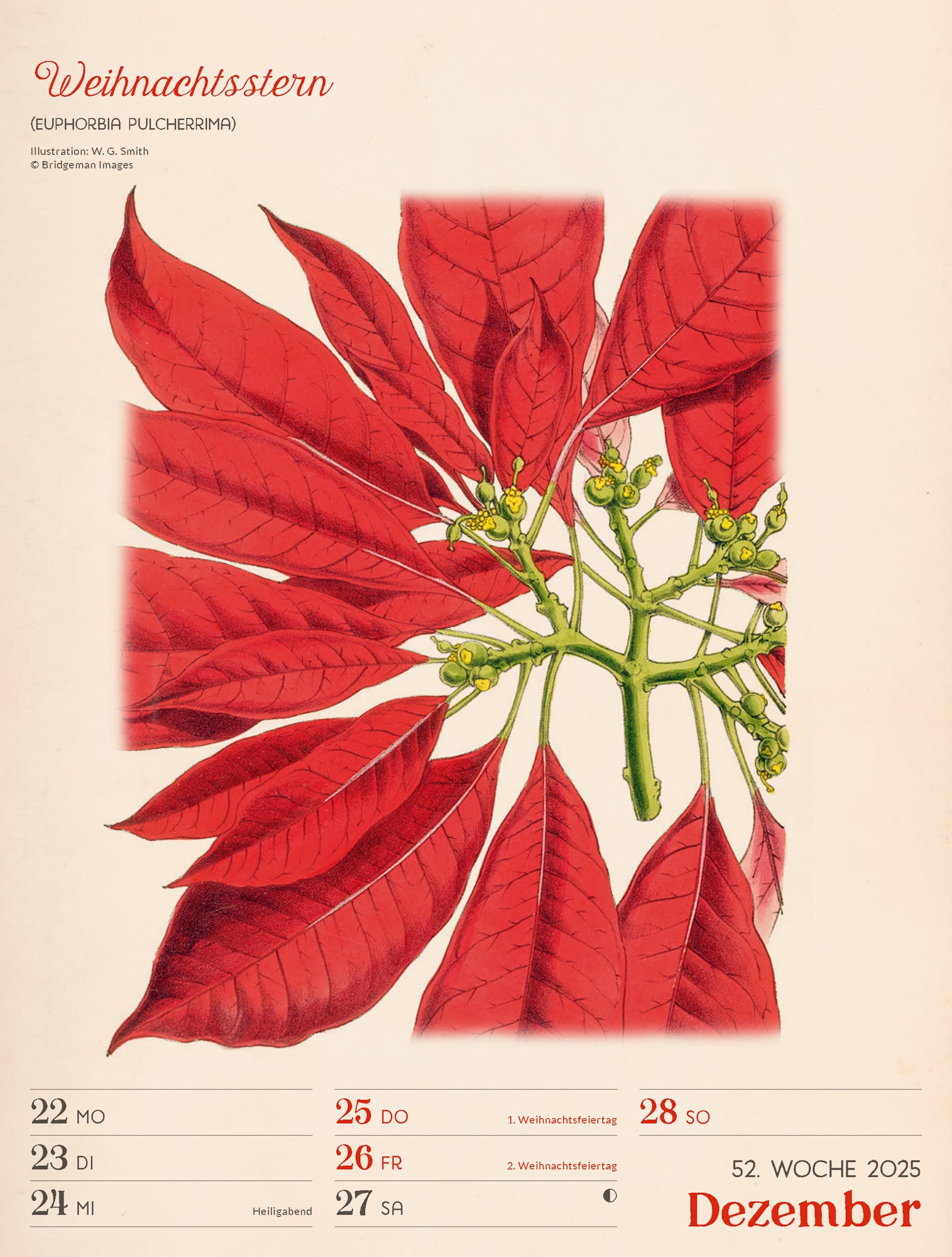 Ackermann Calendar Ars Floralis 2025 - Weekly Planner - Inside View 55