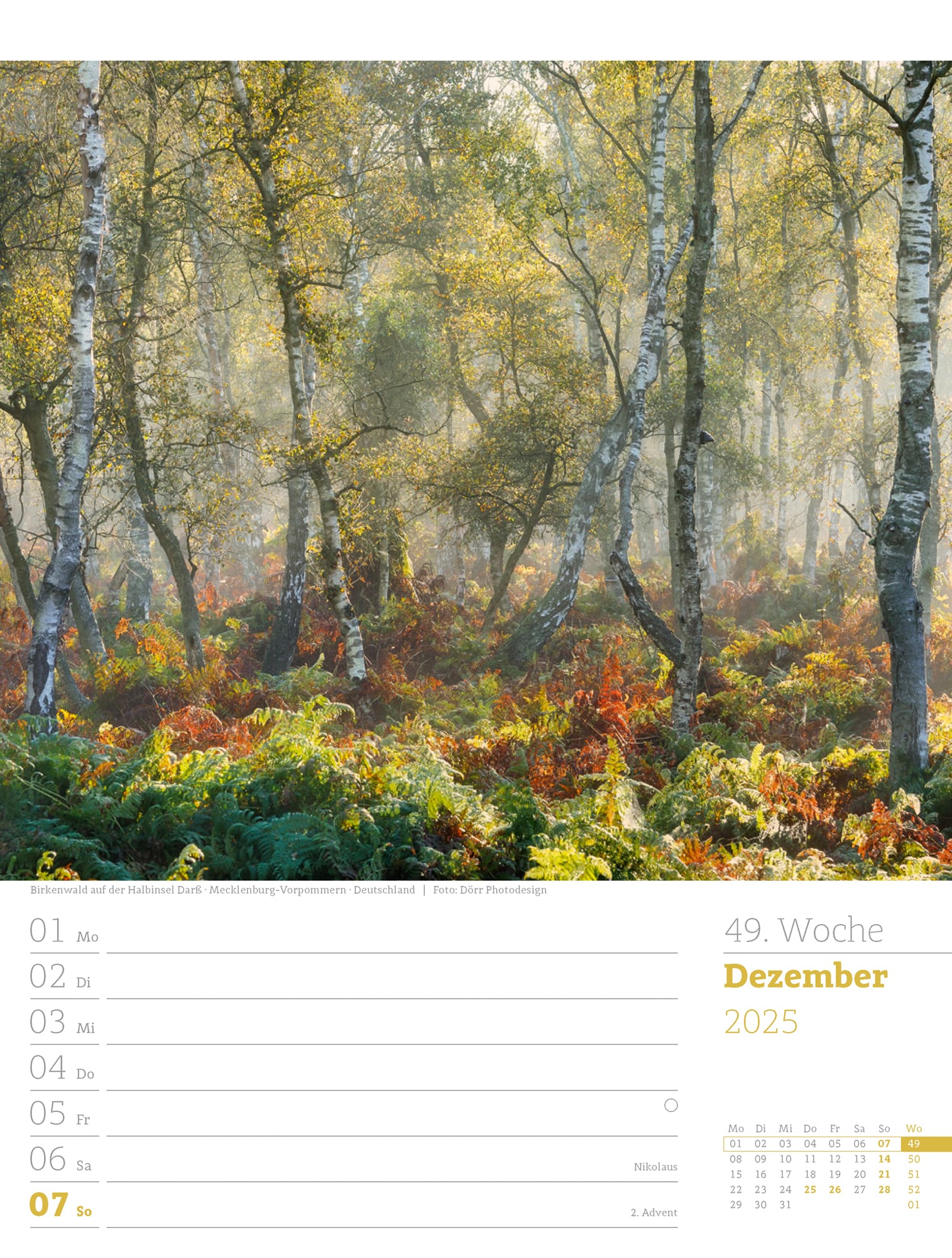Ackermann Calendar Our Forest 2025 - Weekly Planner - Inside View 52