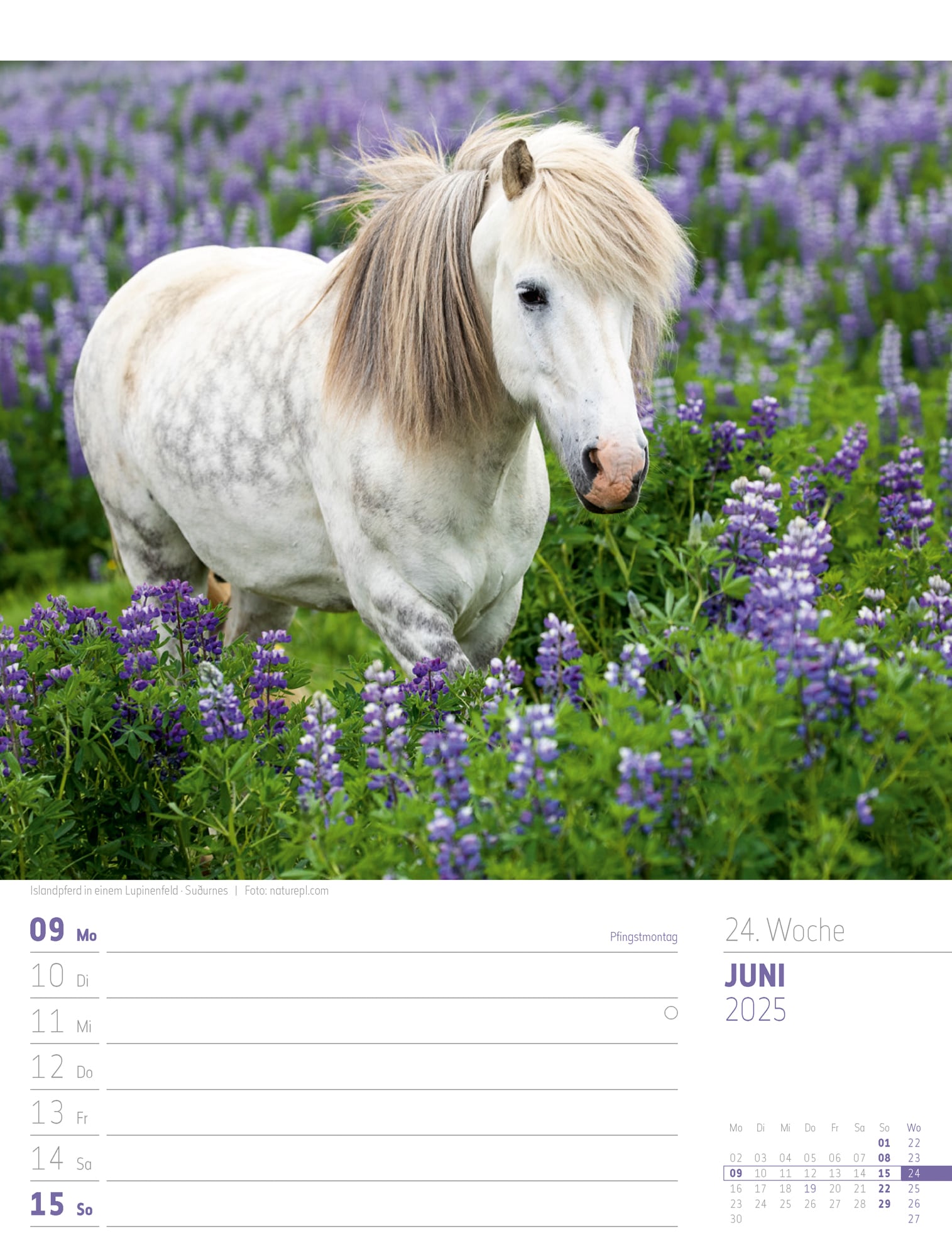 Ackermann Calendar Iceland 2025 - Weekly Planner - Inside View 27