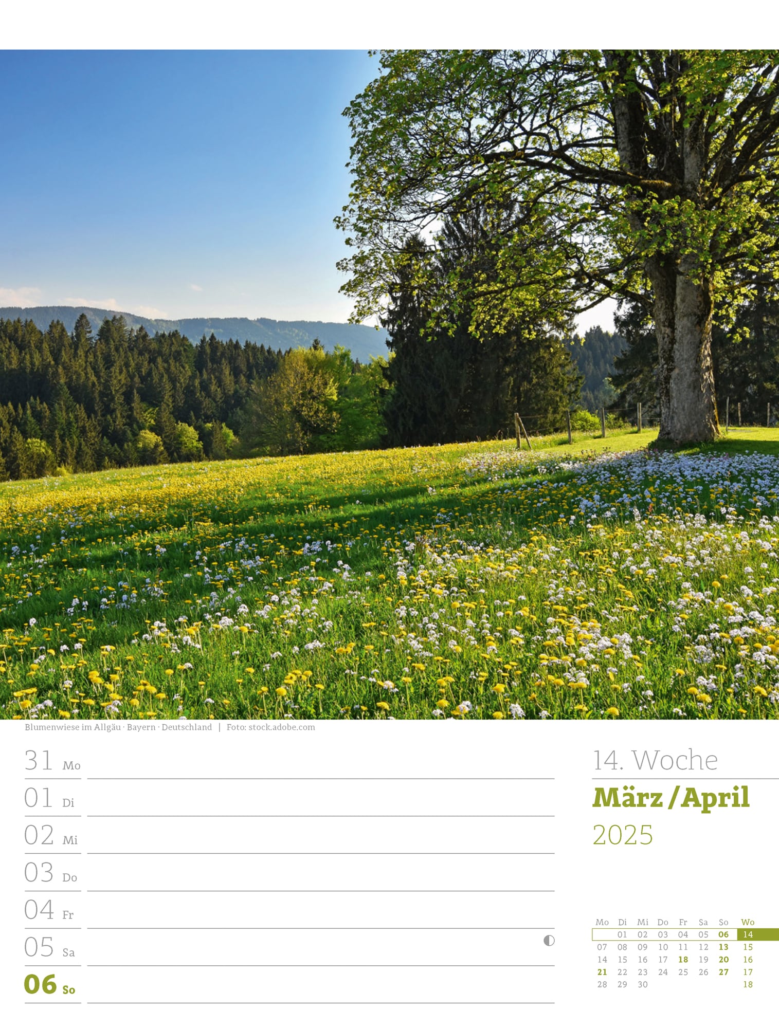 Ackermann Kalender Unser Wald - Wochenplaner 2025 - Innenansicht 17