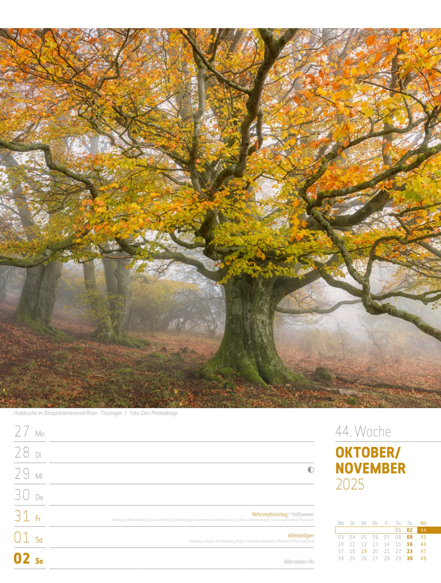 Ackermann Calendar Discover Germany 2025 - Weekly Planner - Inside View 47