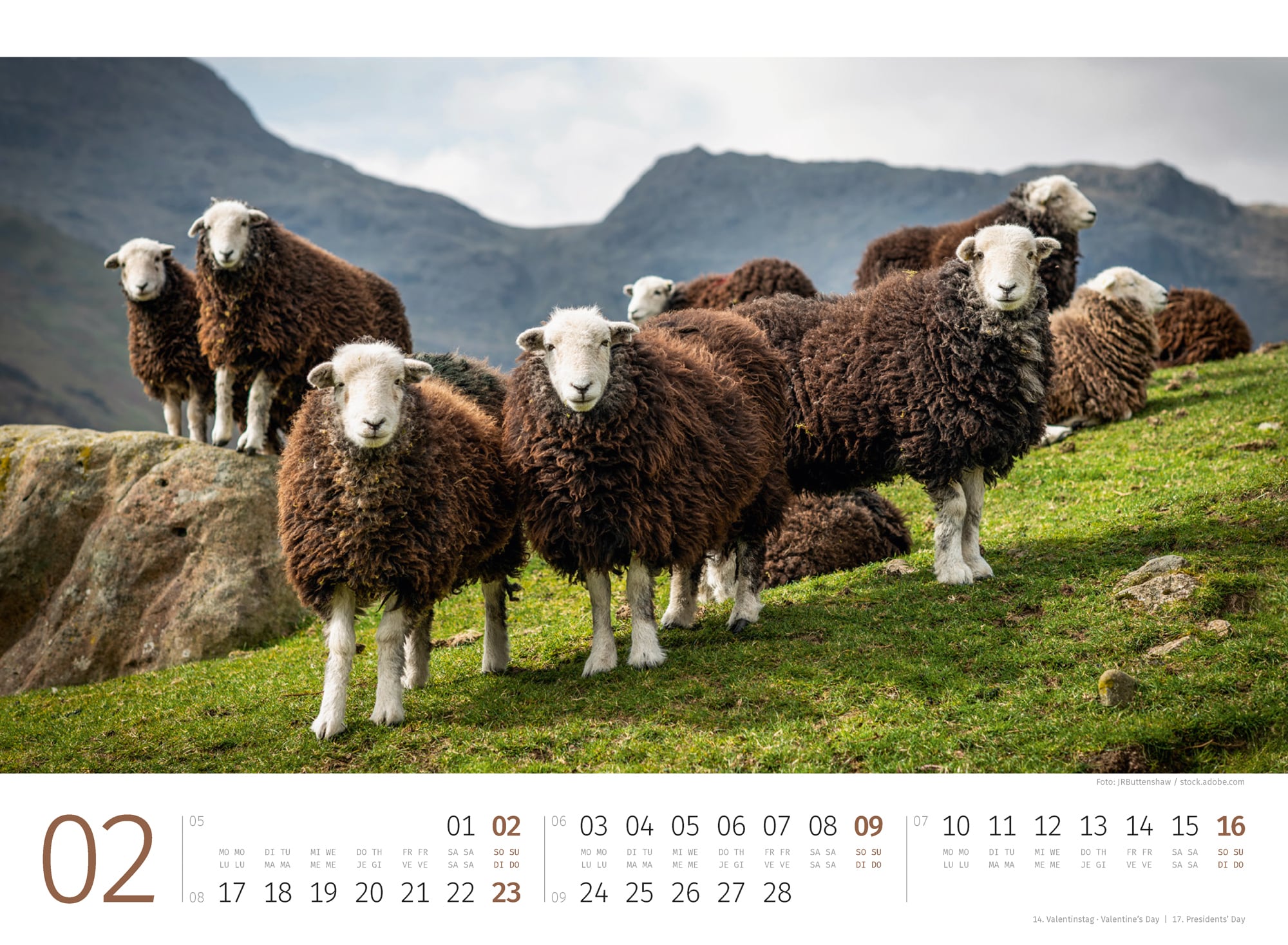Ackermann Calendar Sheep 2025 - Inside View 02