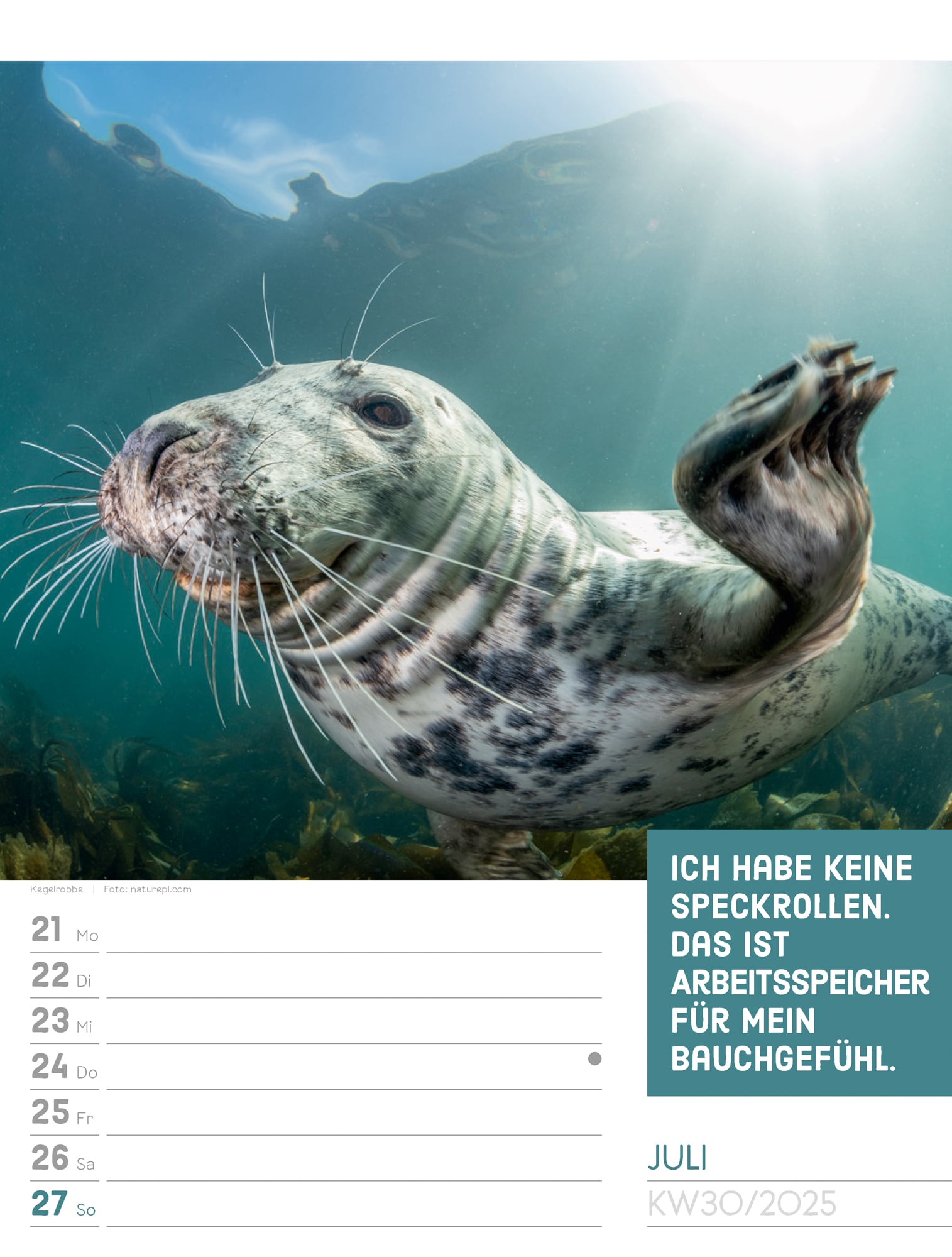 Ackermann Calendar Animals 2025 - Weekly Planner - Inside View 33
