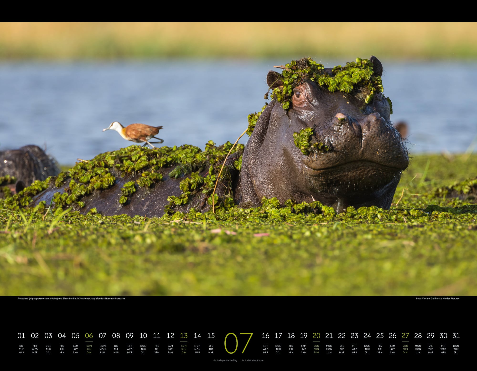 Ackermann Calendar Wild Africa 2025 - Inside View 07