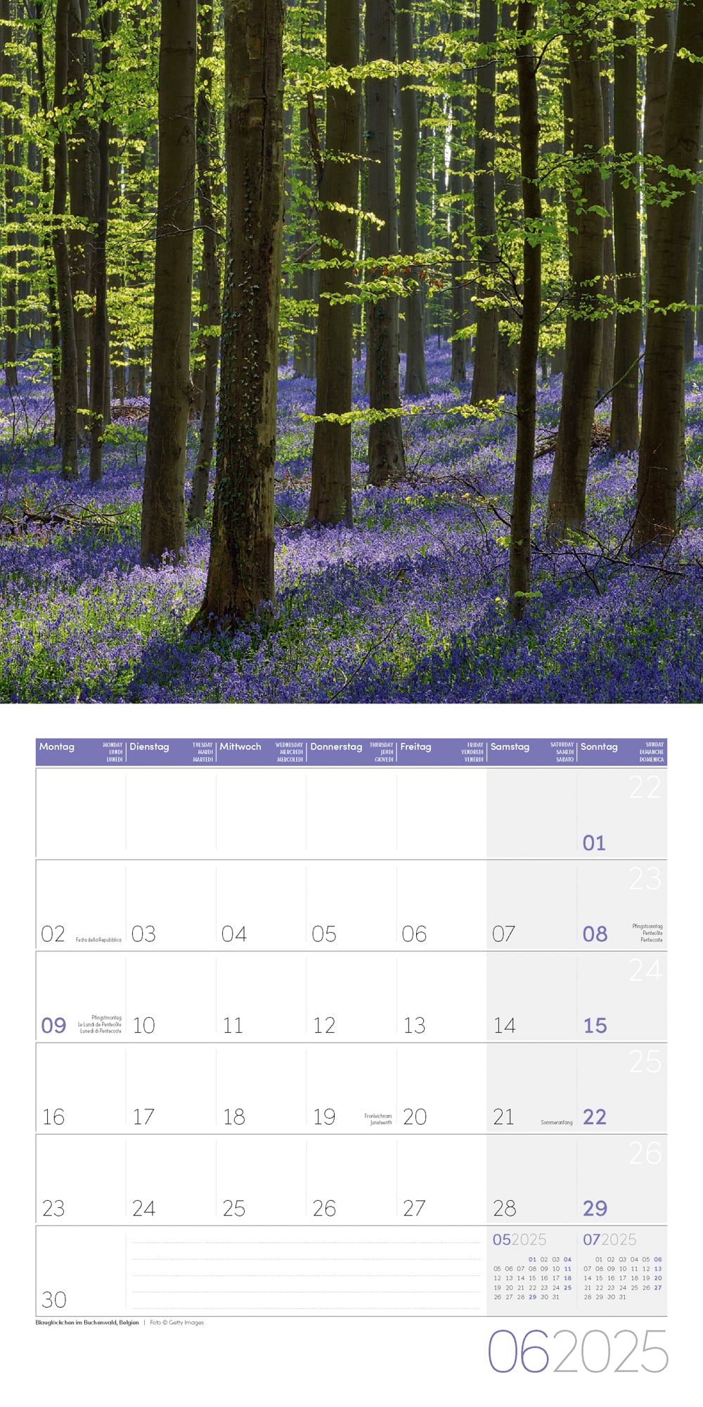 Art12 Collection Kalender Zauber des Waldes 2025 - 30x30 - Innenansicht 06