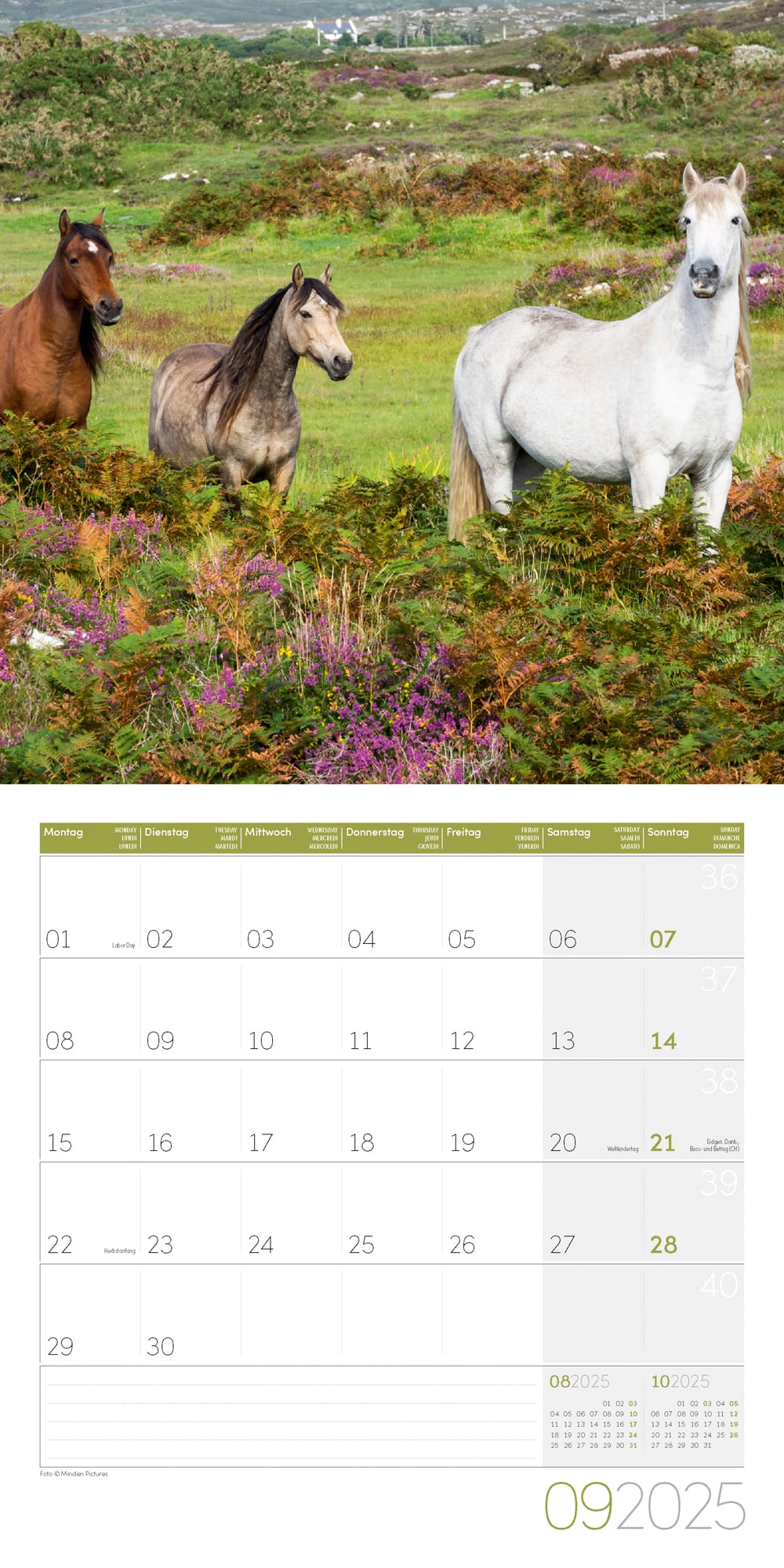 Art12 Collection Kalender Pferde 2025 - 30x30 - Innenansicht 09