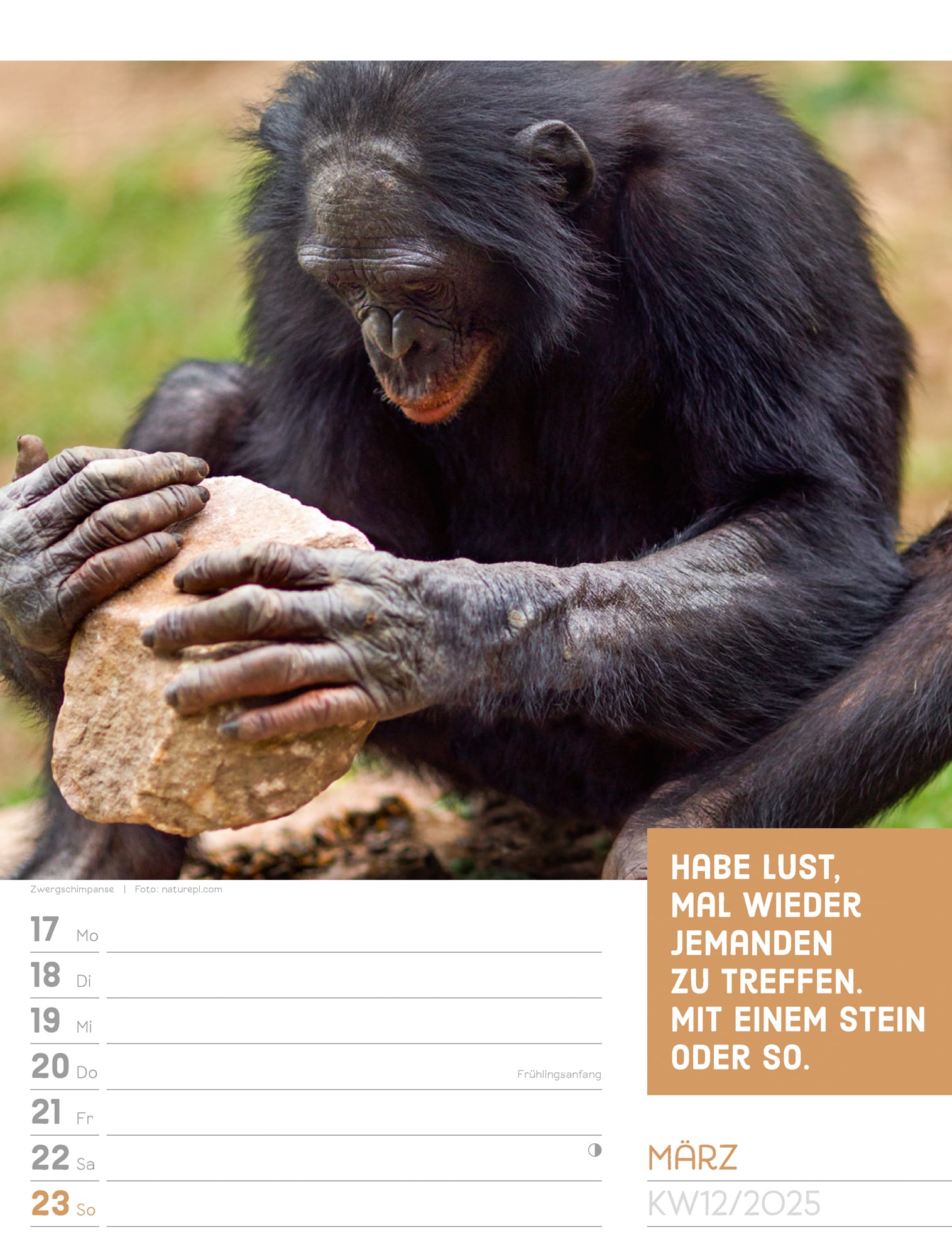 Ackermann Calendar Animals 2025 - Weekly Planner - Inside View 15