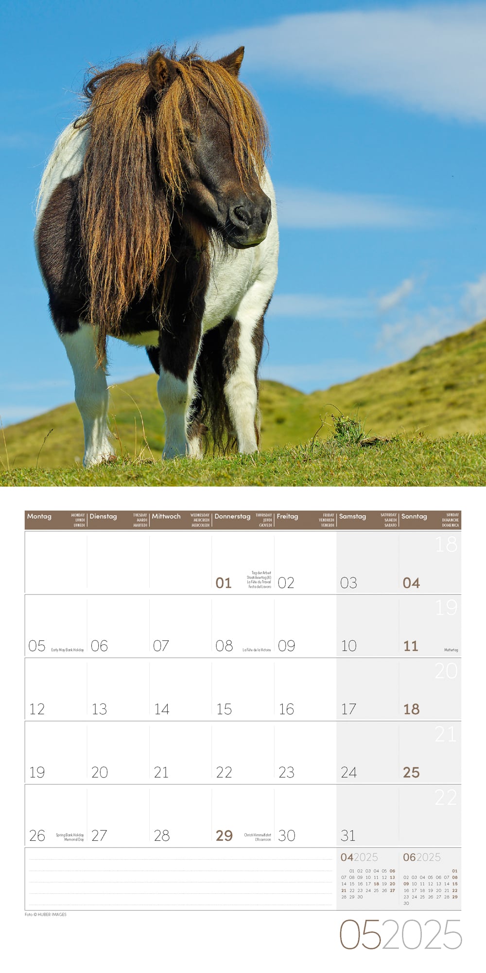 Art12 Collection Kalender Pferde 2025 - 30x30 - Innenansicht 05