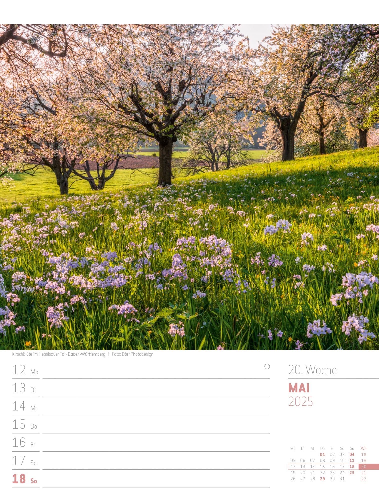 Ackermann Calendar Discover Germany 2025 - Weekly Planner - Inside View 23