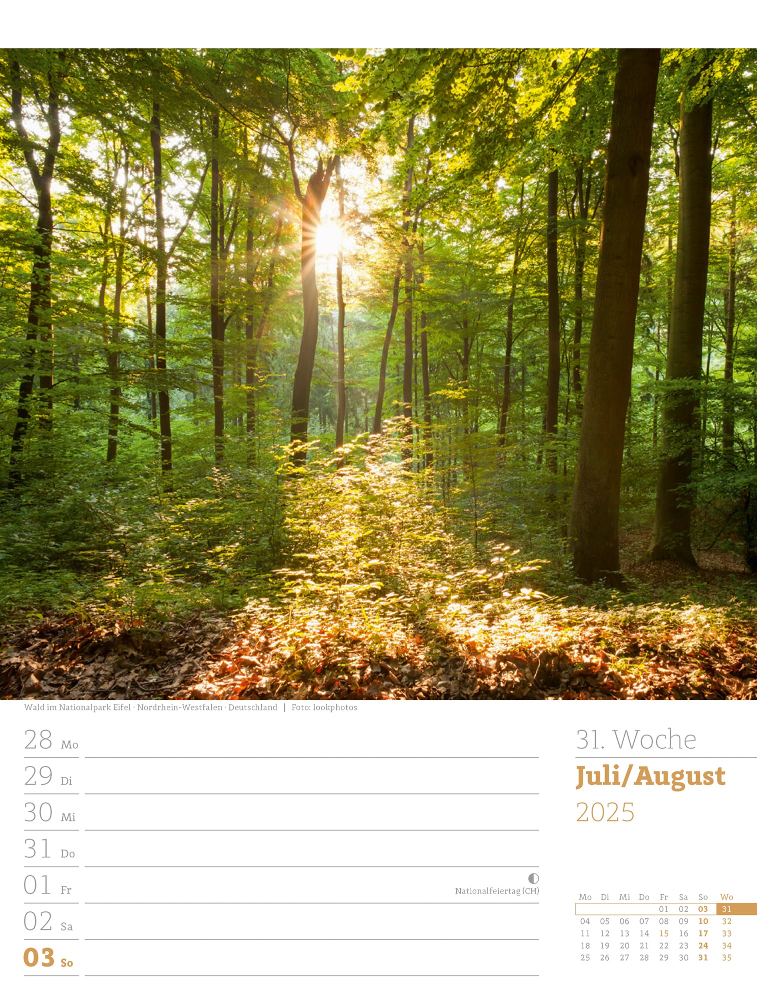 Ackermann Kalender Unser Wald - Wochenplaner 2025 - Innenansicht 34
