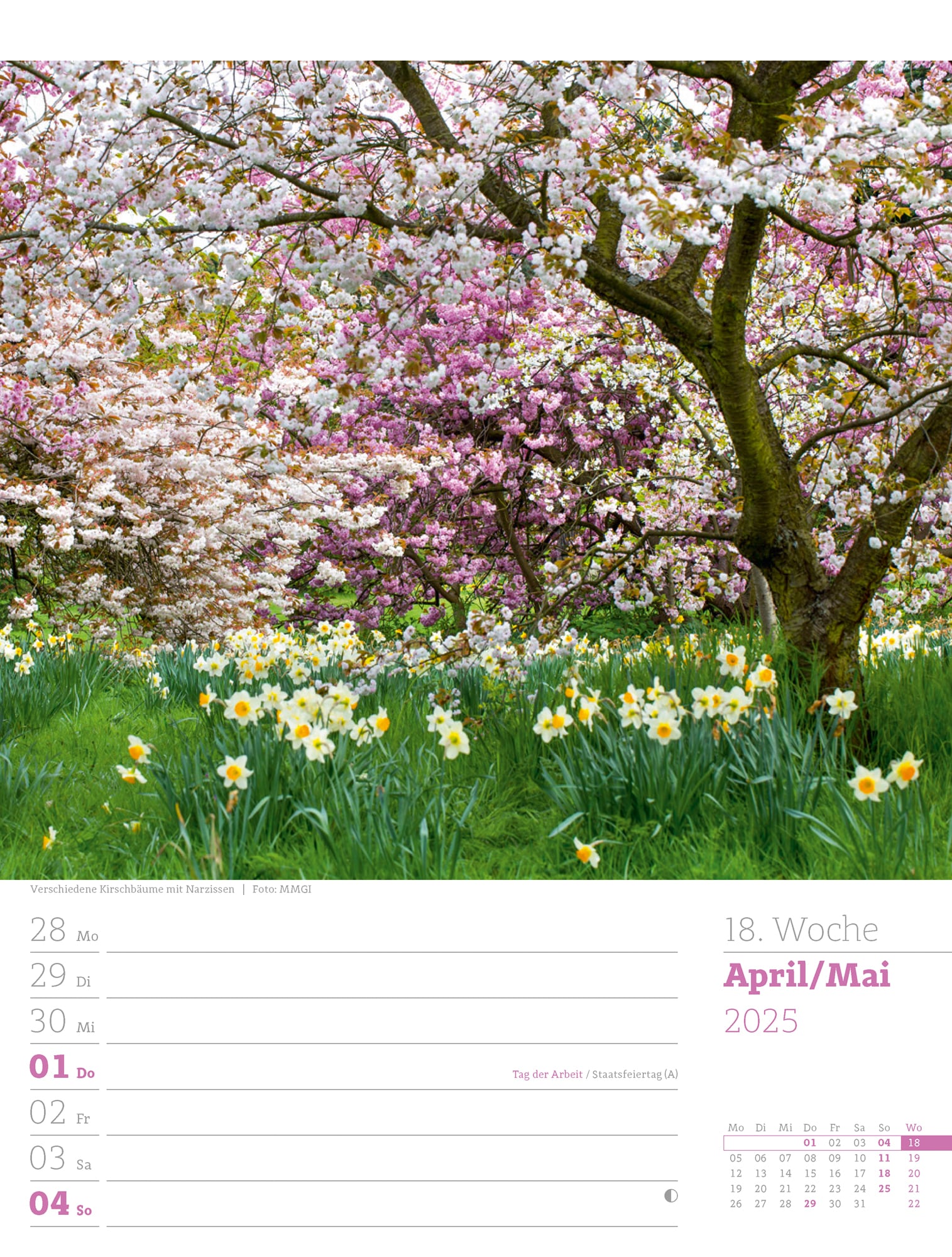 Ackermann Calendar Beautiful Gardens 2025 - Weekly Planner - Inside View 21