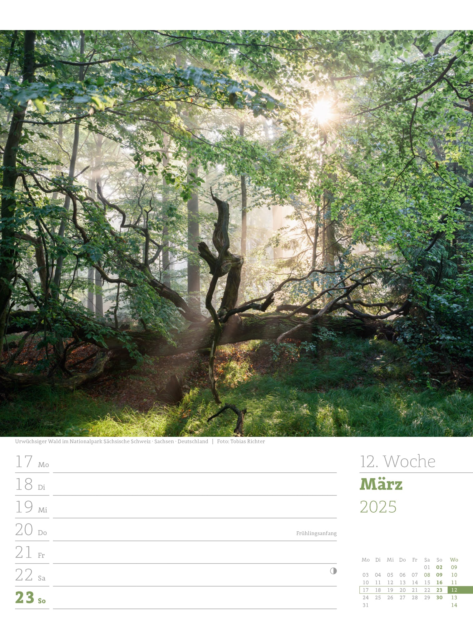Ackermann Calendar Our Forest 2025 - Weekly Planner - Inside View 15