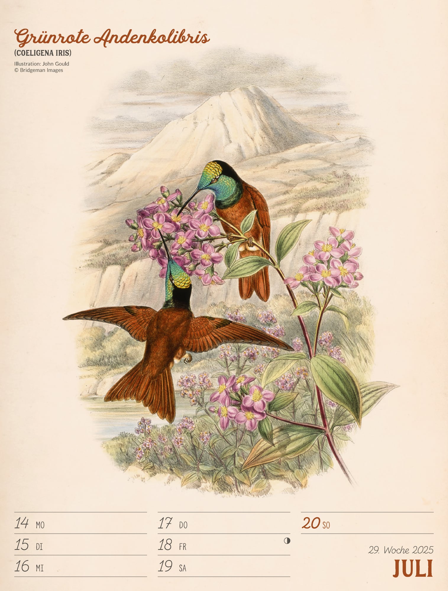 Ackermann Calendar The wonderful World of Birds 2025 - Weekly Planner - Inside View 32