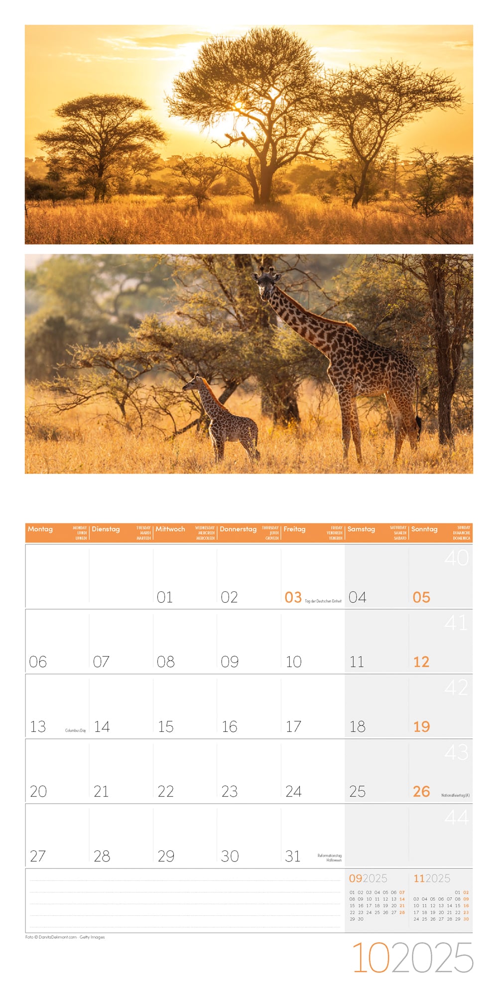 Art12 Collection Kalender Colours of Nature 2025 - 30x30 - Innenansicht 10