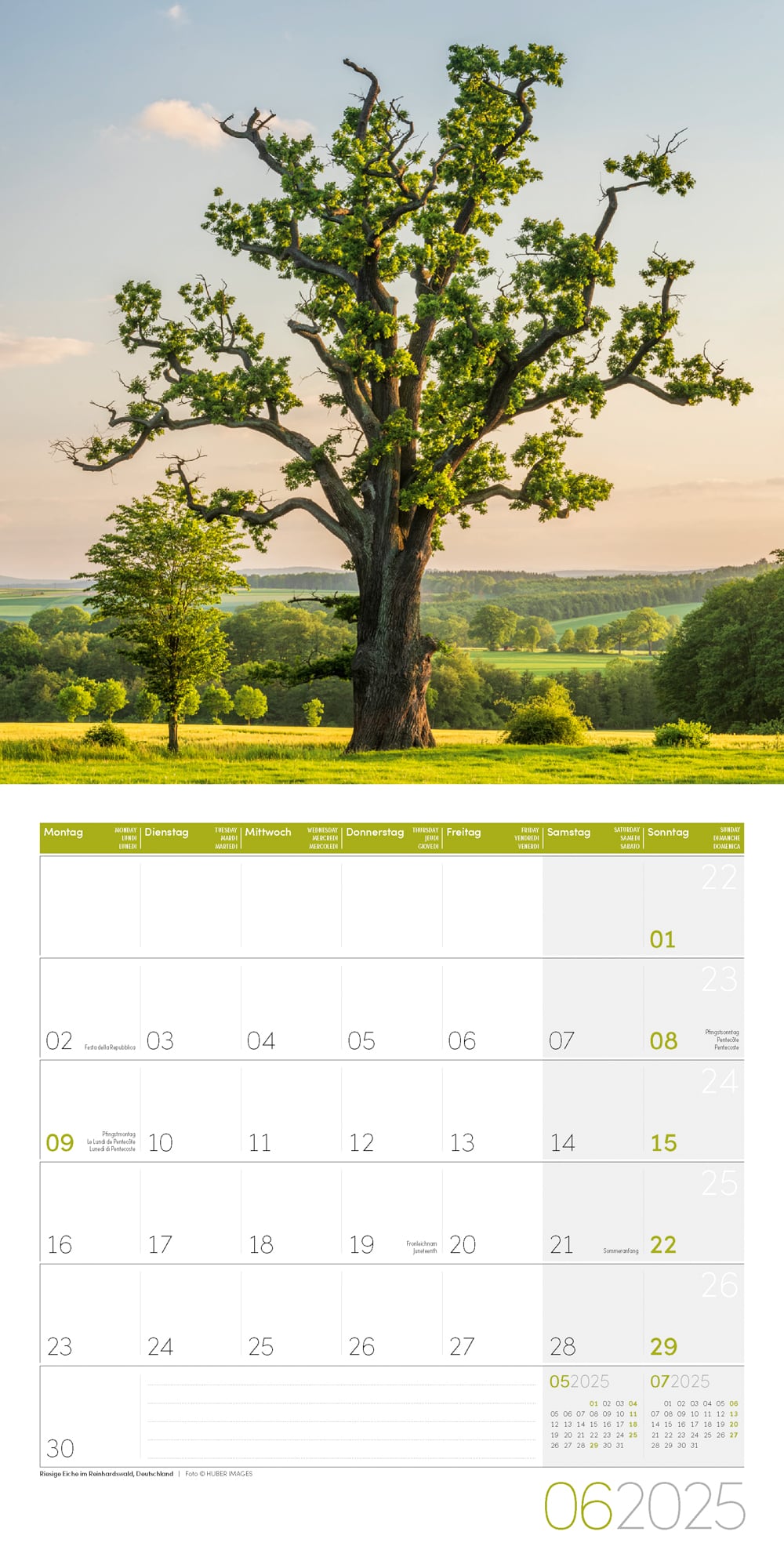 Art12 Collection Kalender Bäume 2025 - 30x30 - Innenansicht 06