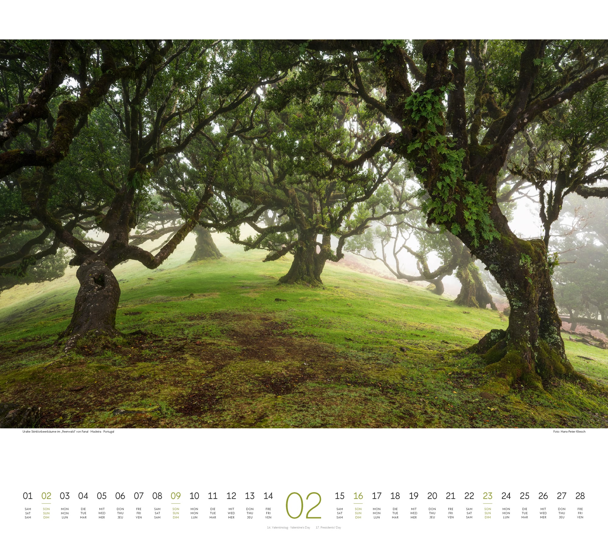 Ackermann Kalender Wald 2025 - Innenansicht 02