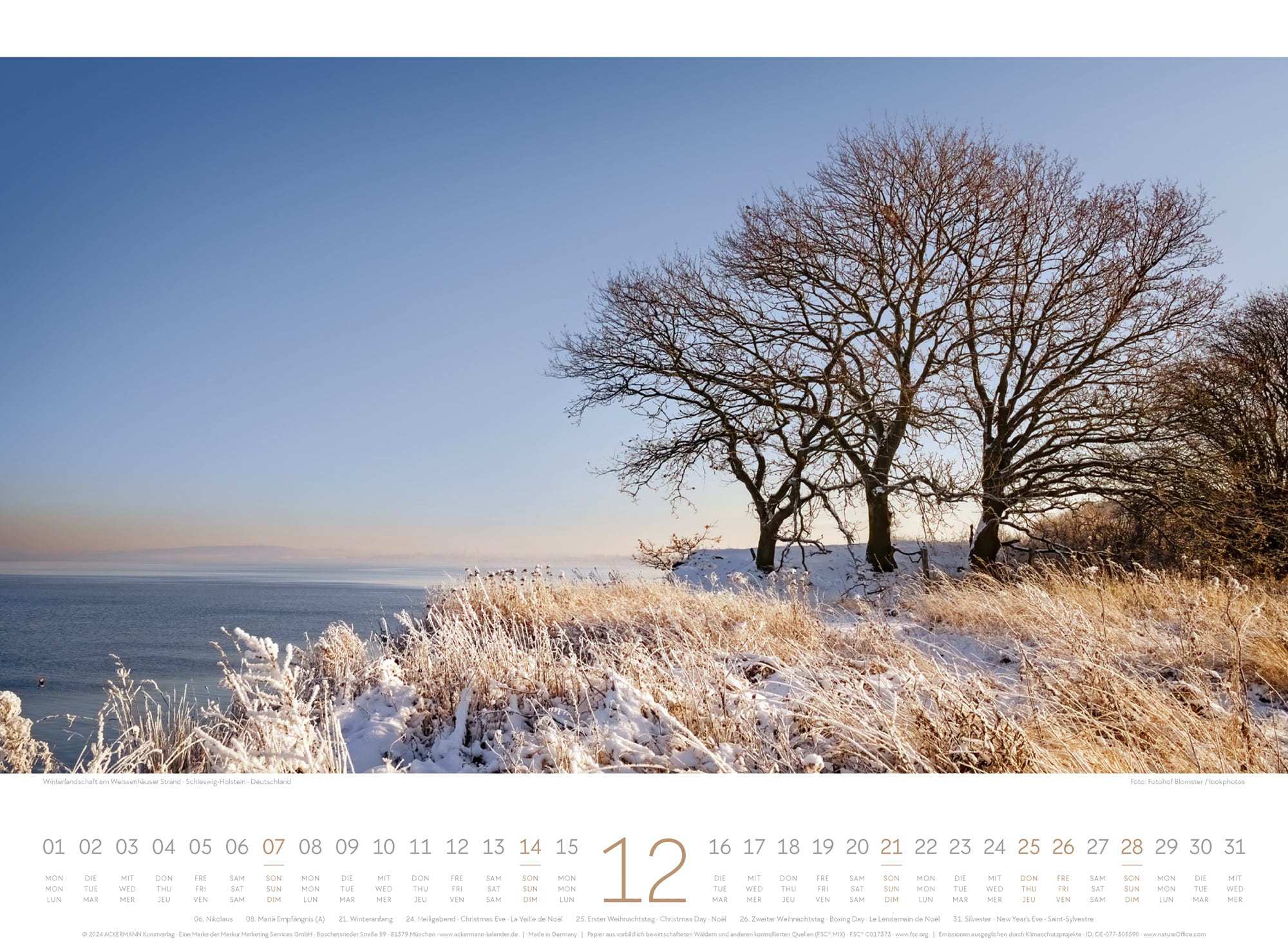 Ackermann Calendar Days at the Seaside 2025 - Inside View 12