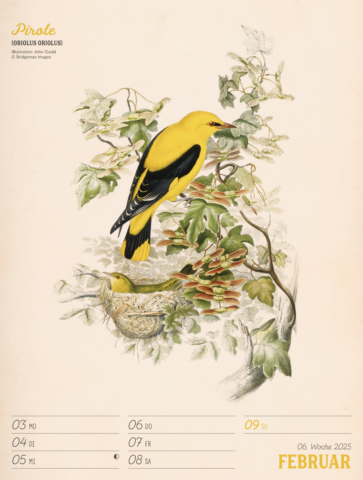 Ackermann Calendar The wonderful World of Birds 2025 - Weekly Planner - Inside View 09