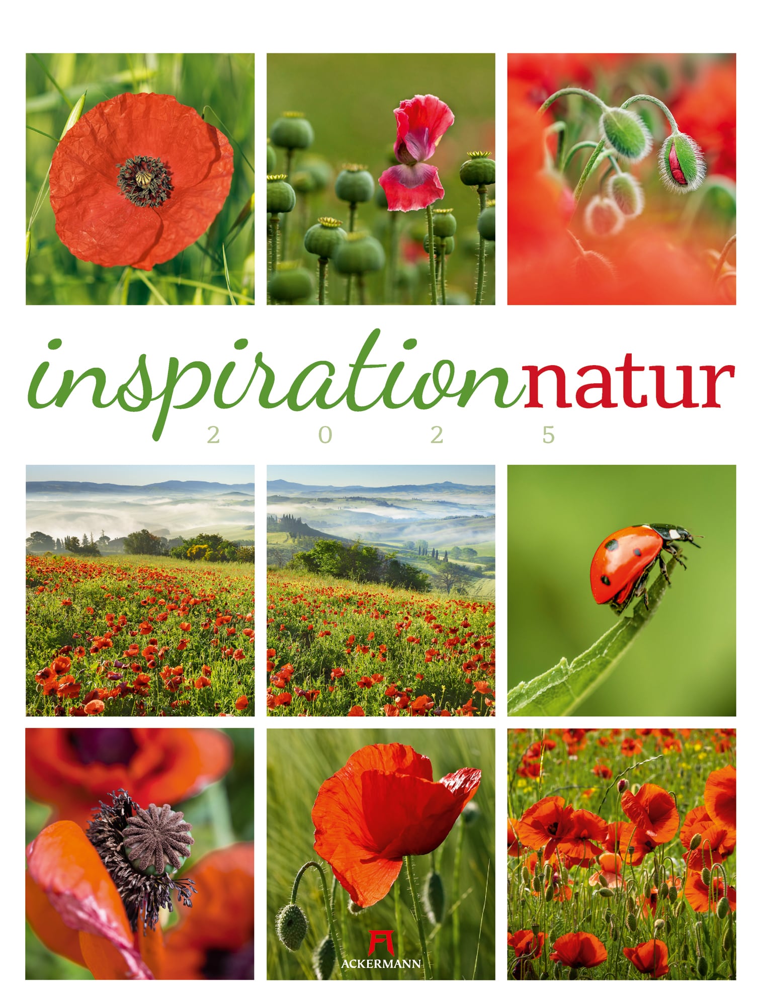 Ackermann Kalender Inspiration Natur 2025 - Titelblatt