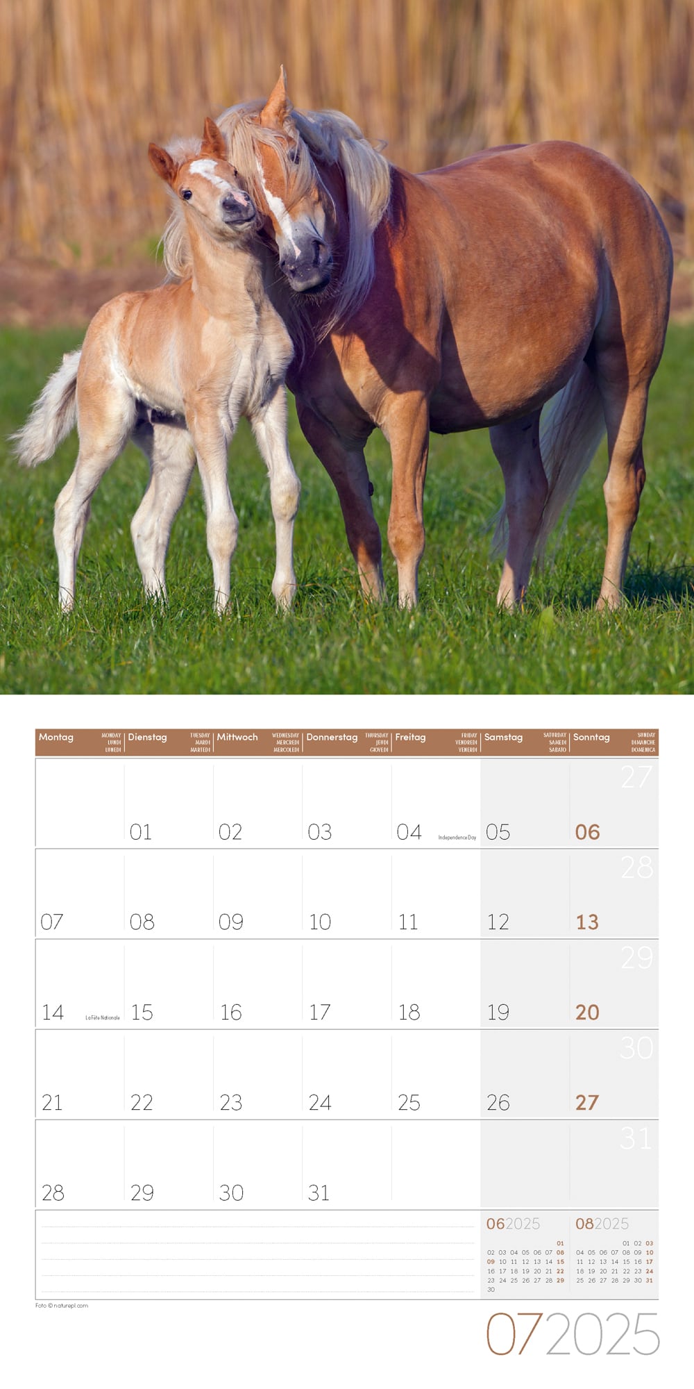 Art12 Collection Kalender Pferde 2025 - 30x30 - Innenansicht 07
