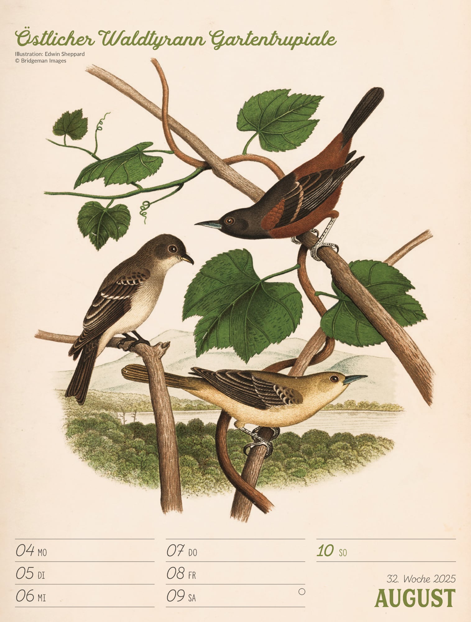 Ackermann Calendar The wonderful World of Birds 2025 - Weekly Planner - Inside View 35