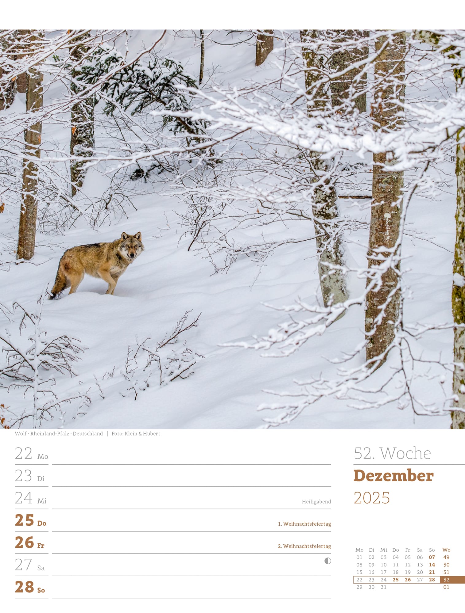 Ackermann Calendar Our Forest 2025 - Weekly Planner - Inside View 55