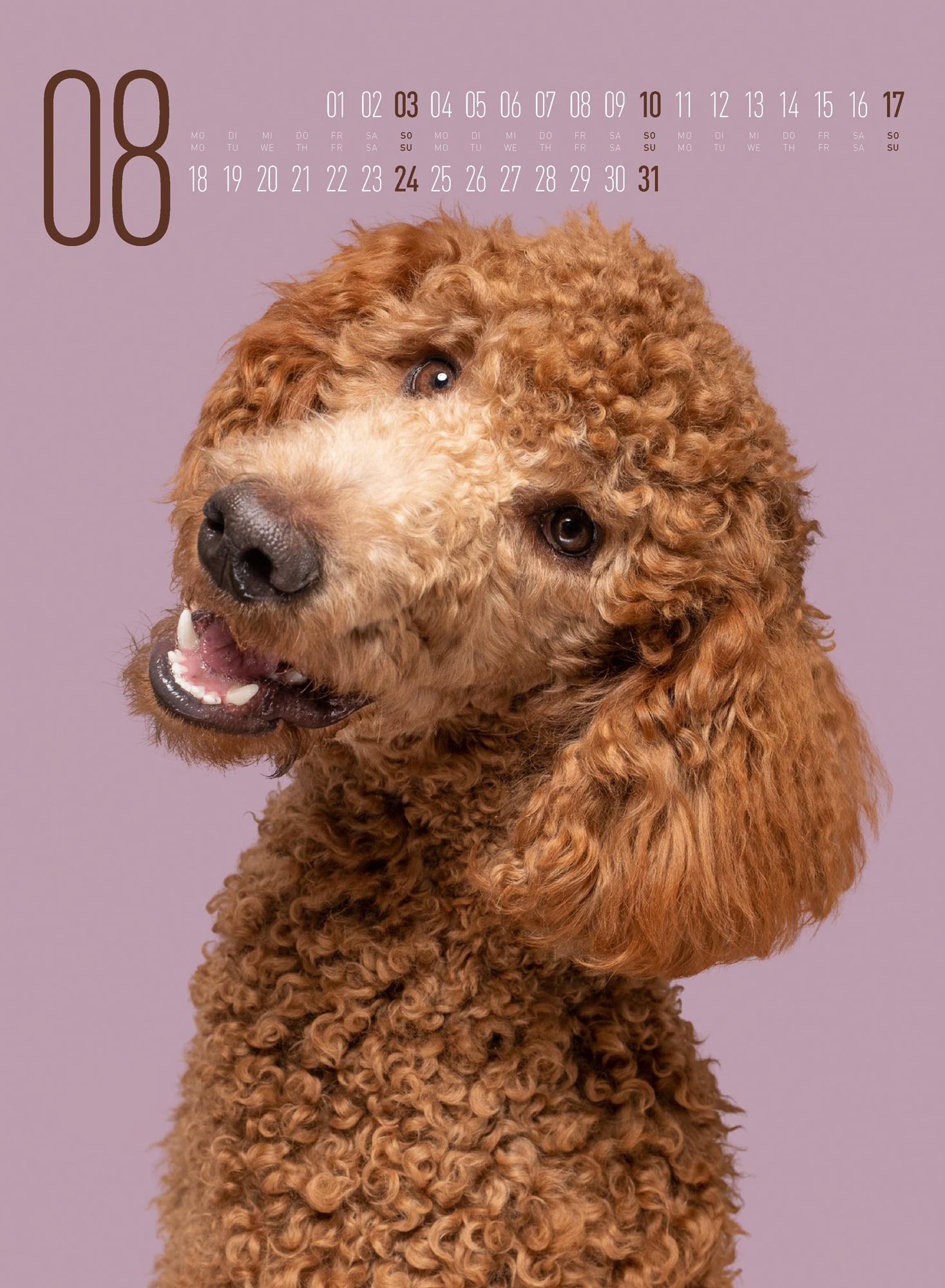 Ackermann Calendar Funny Dogs 2025 - Inside View 08