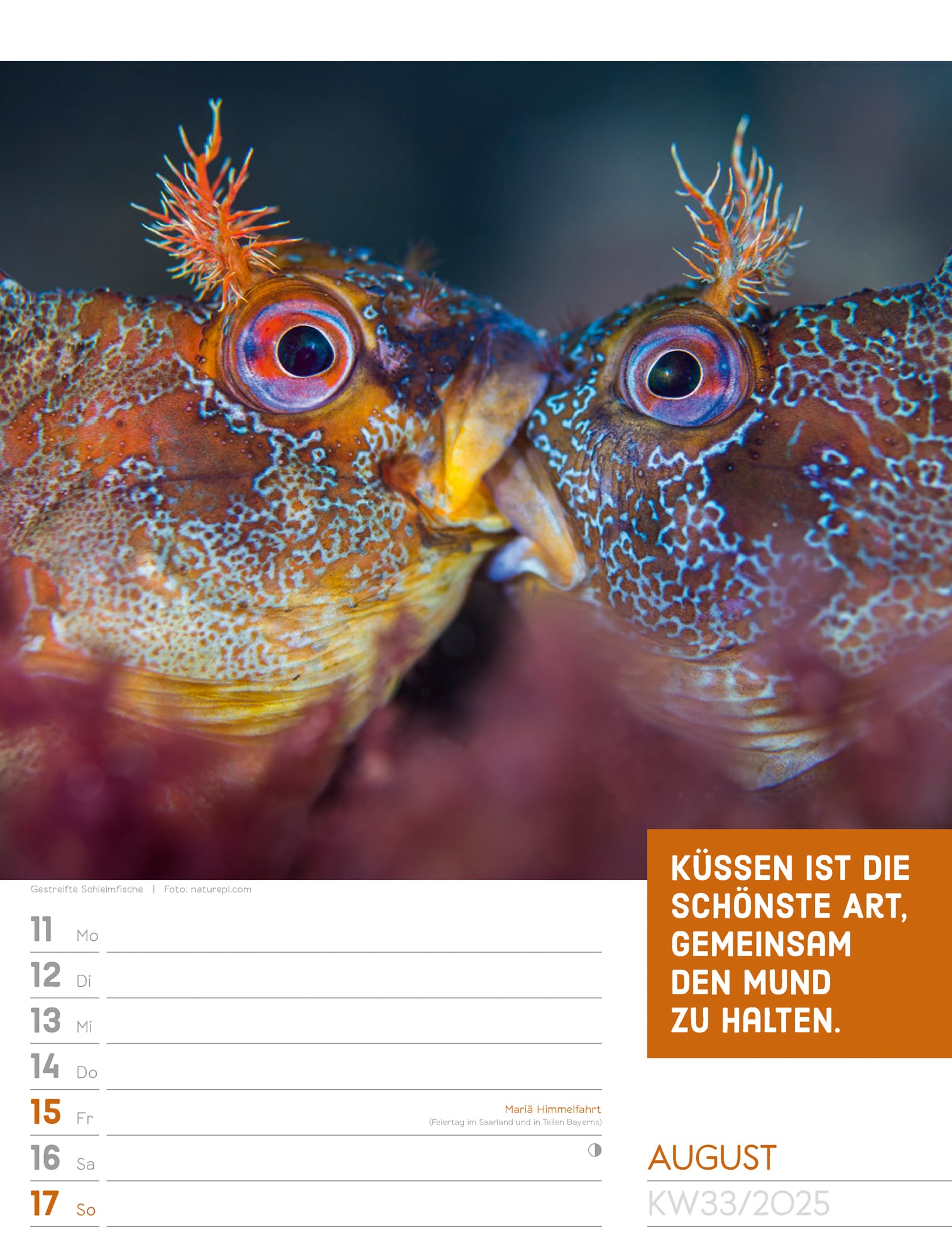 Ackermann Calendar Animals 2025 - Weekly Planner - Inside View 36