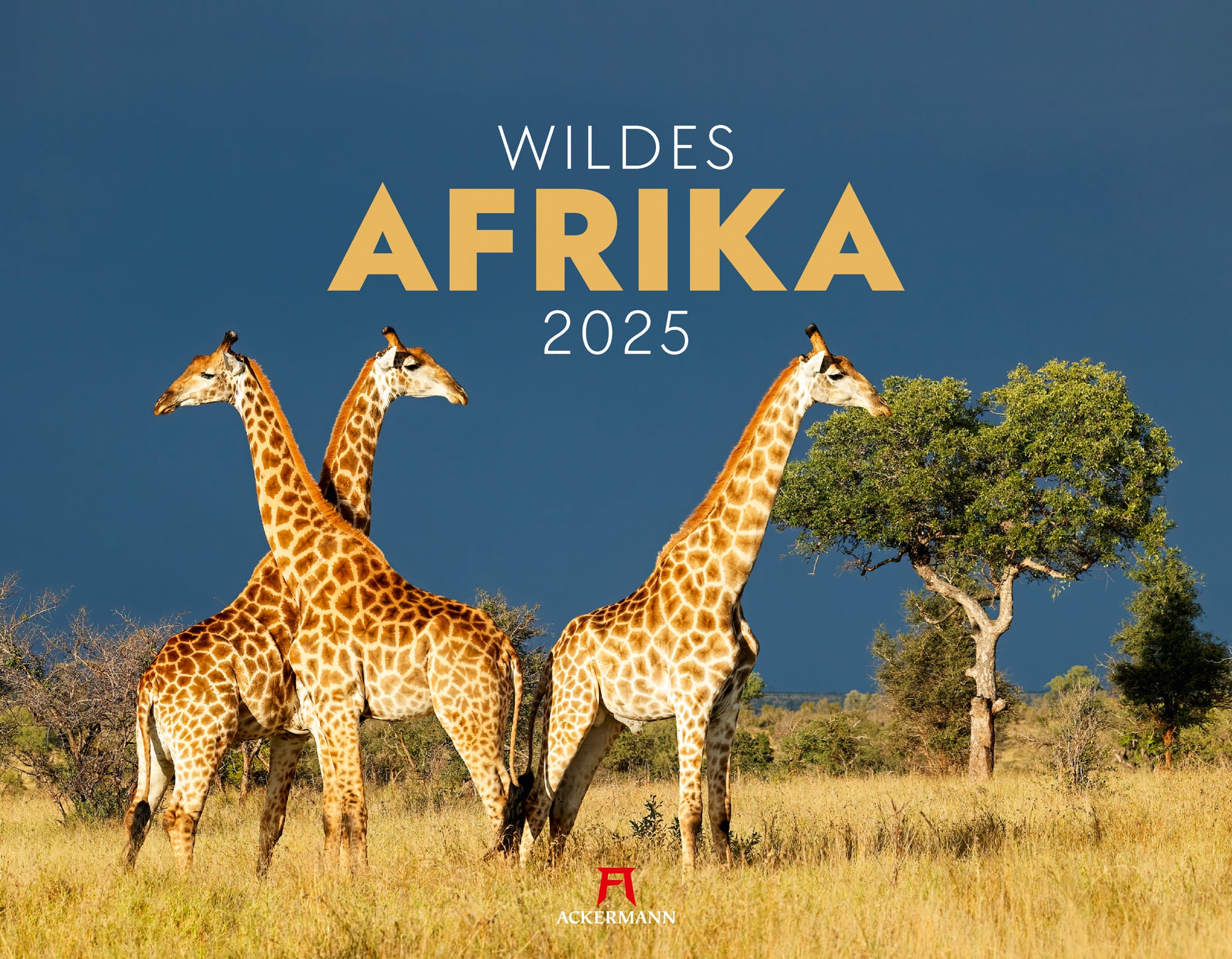 Ackermann Kalender Wildes Afrika 2025 - Titelblatt