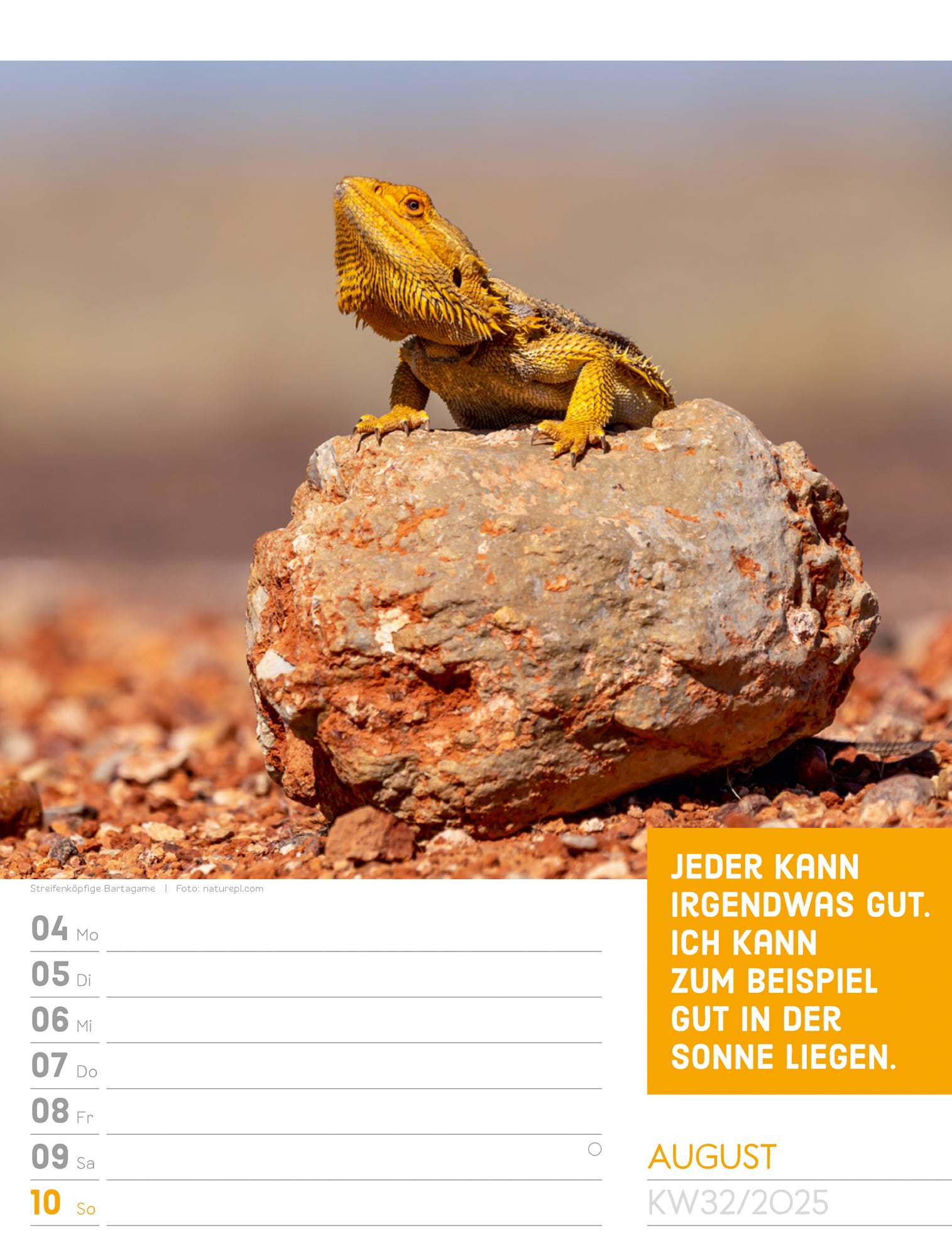 Ackermann Calendar Animals 2025 - Weekly Planner - Inside View 35