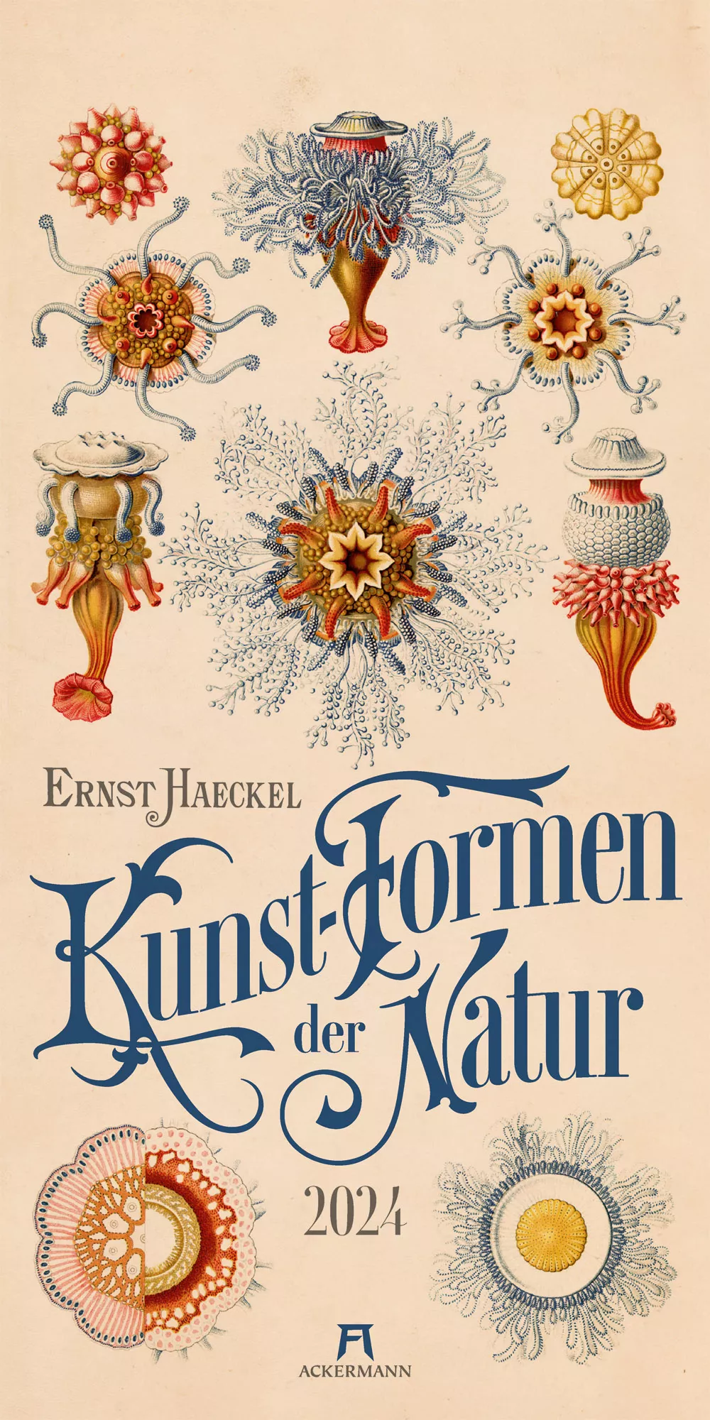 Ackermann Kalender Kunst-Formen der Natur 2024 - Titelblatt
