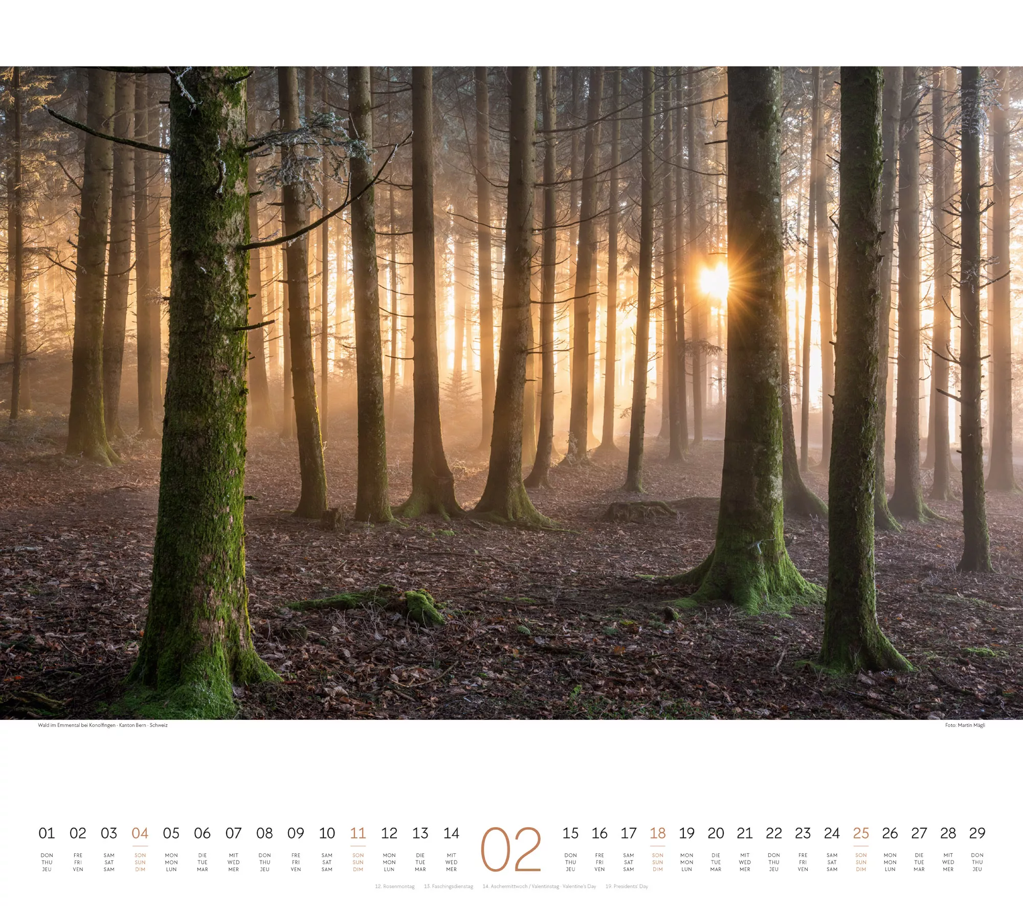 Ackermann Kalender Wald 2024 - Innenansicht 02