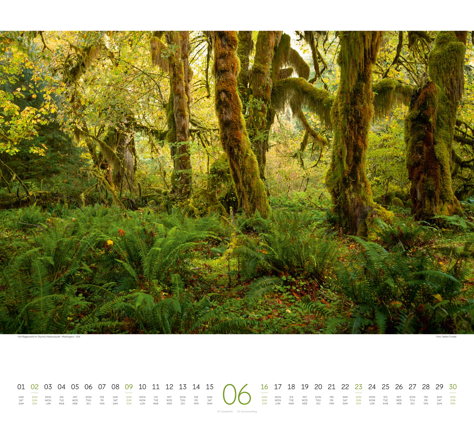 Ackermann Kalender Wald 2024 - Innenansicht 06