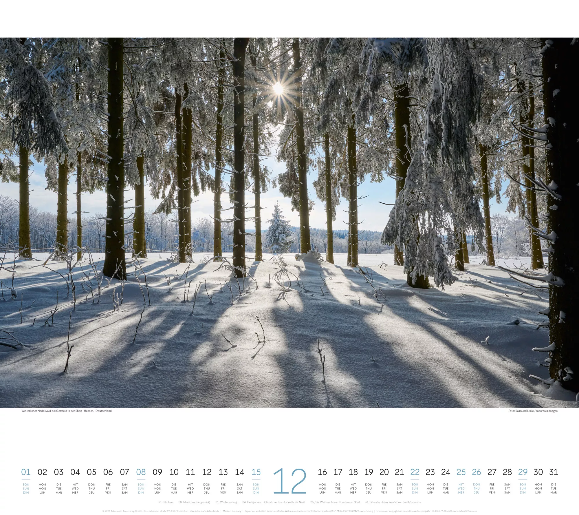 Ackermann Kalender Wald 2024 - Innenansicht 12