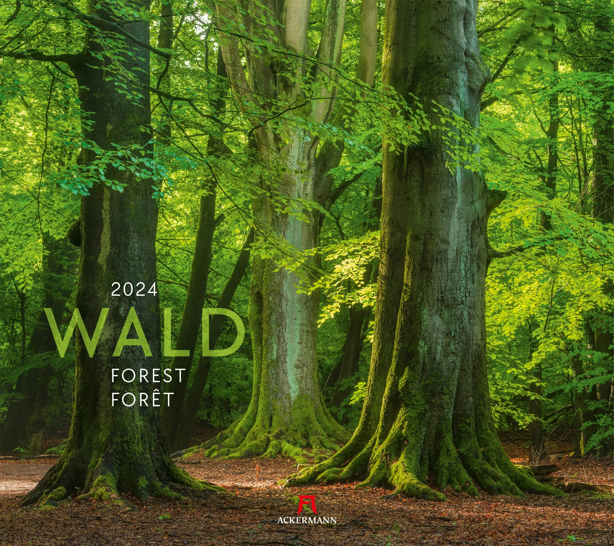 Ackermann Kalender Wald 2024 - Titelblatt