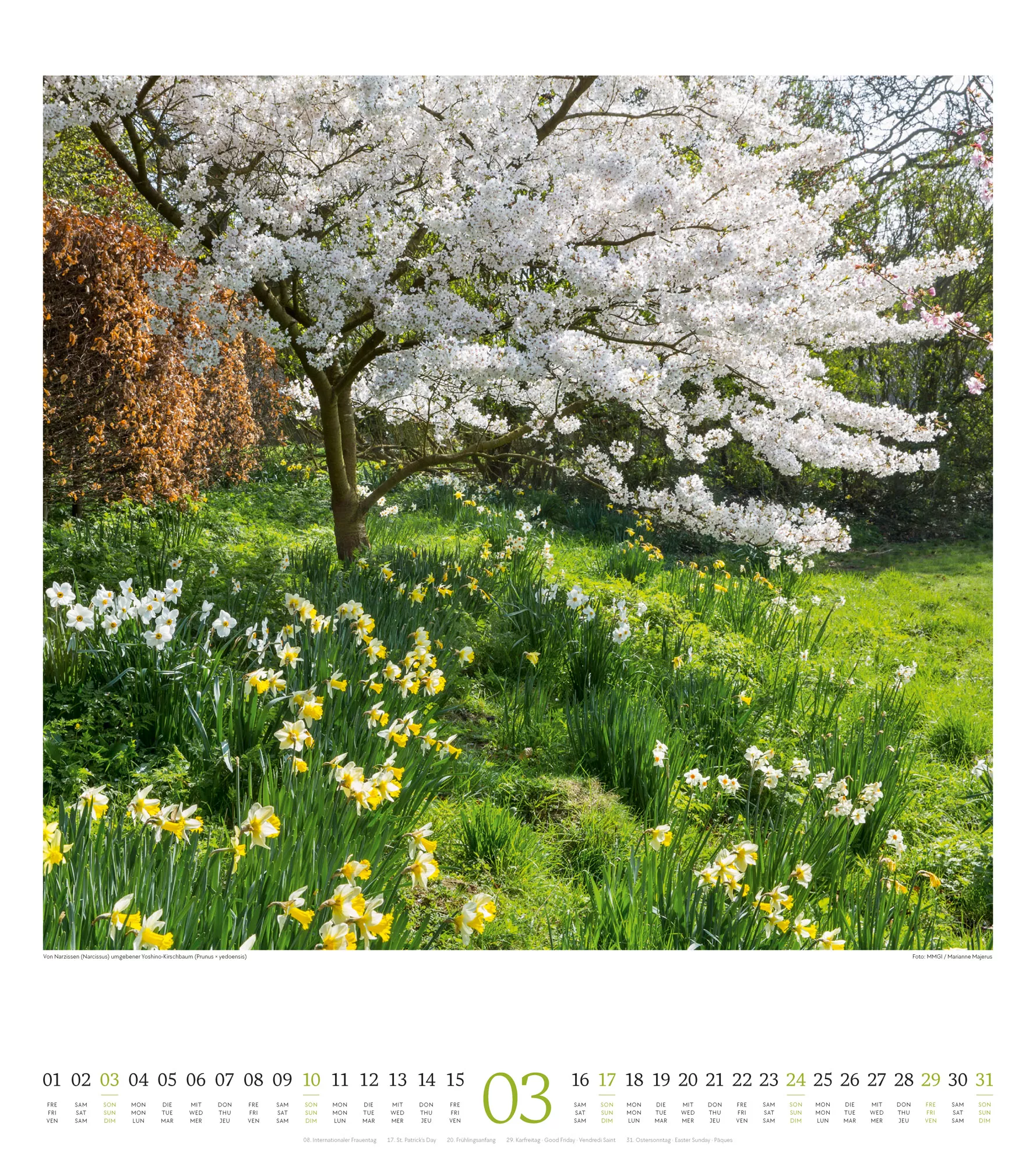 Ackermann Kalender Paradiesische Gärten 2024 - Innenansicht 03