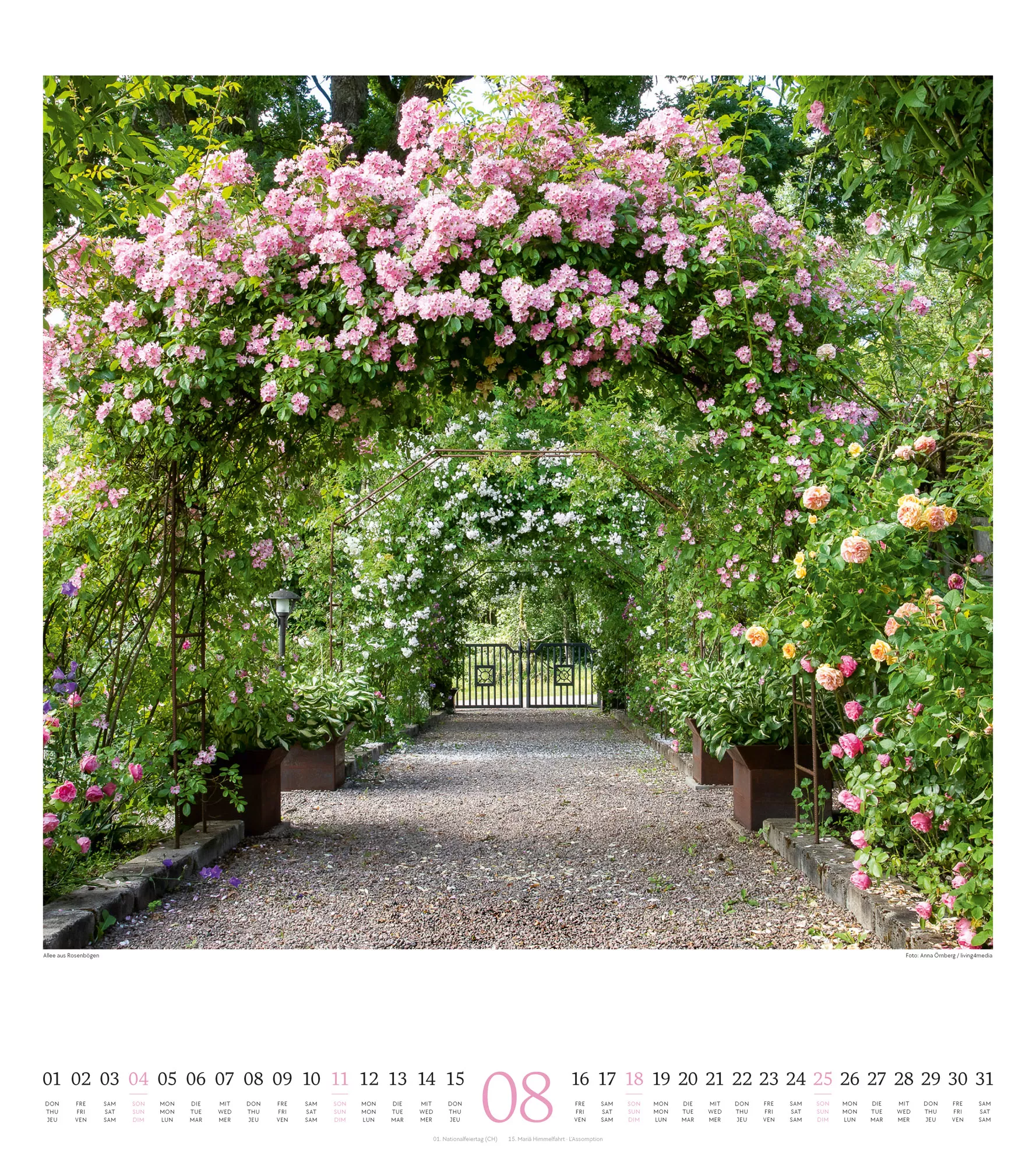 Ackermann Kalender Paradiesische Gärten 2024 - Innenansicht 08