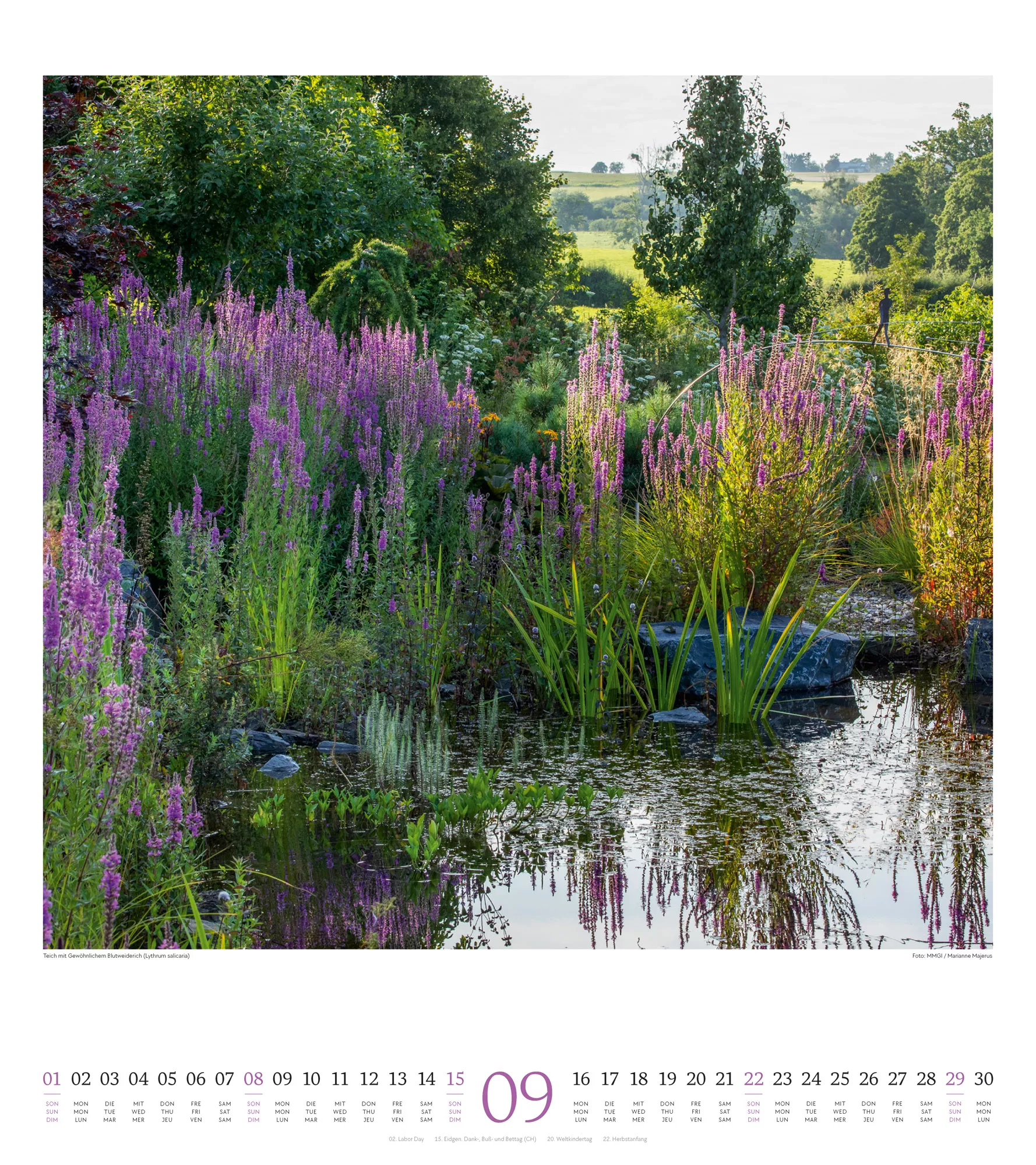Ackermann Kalender Paradiesische Gärten 2024 - Innenansicht 09