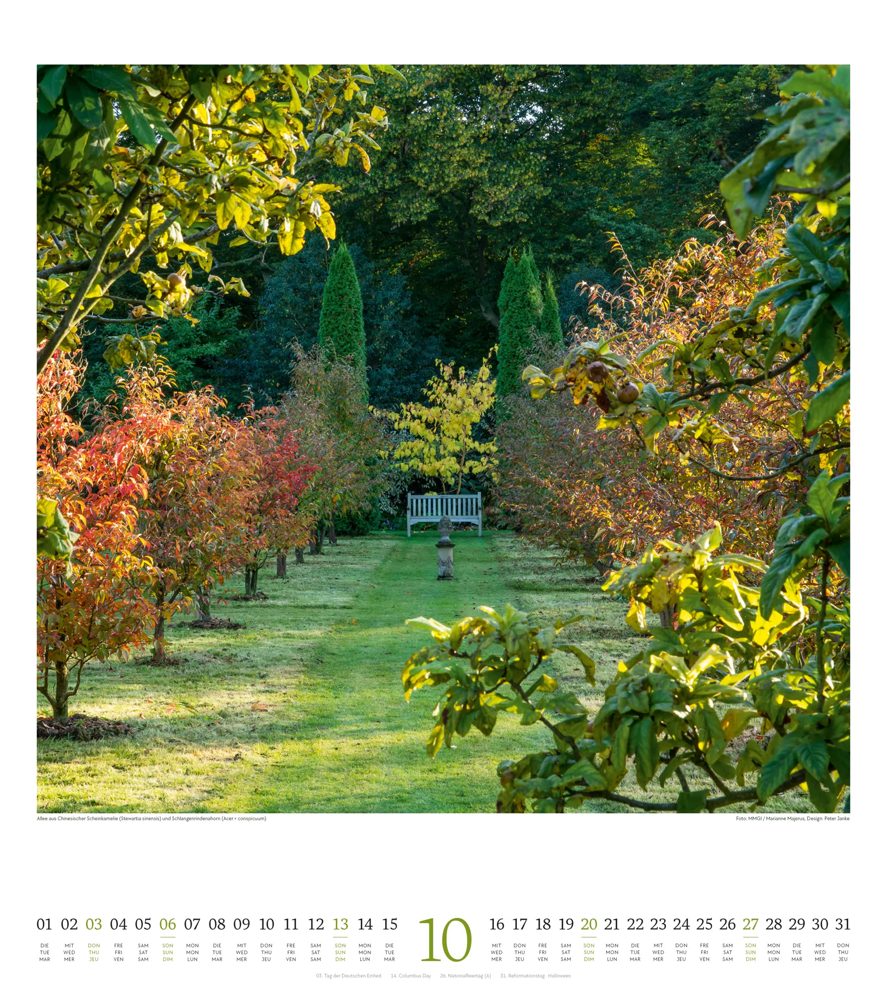 Ackermann Kalender Paradiesische Gärten 2024 - Innenansicht 10