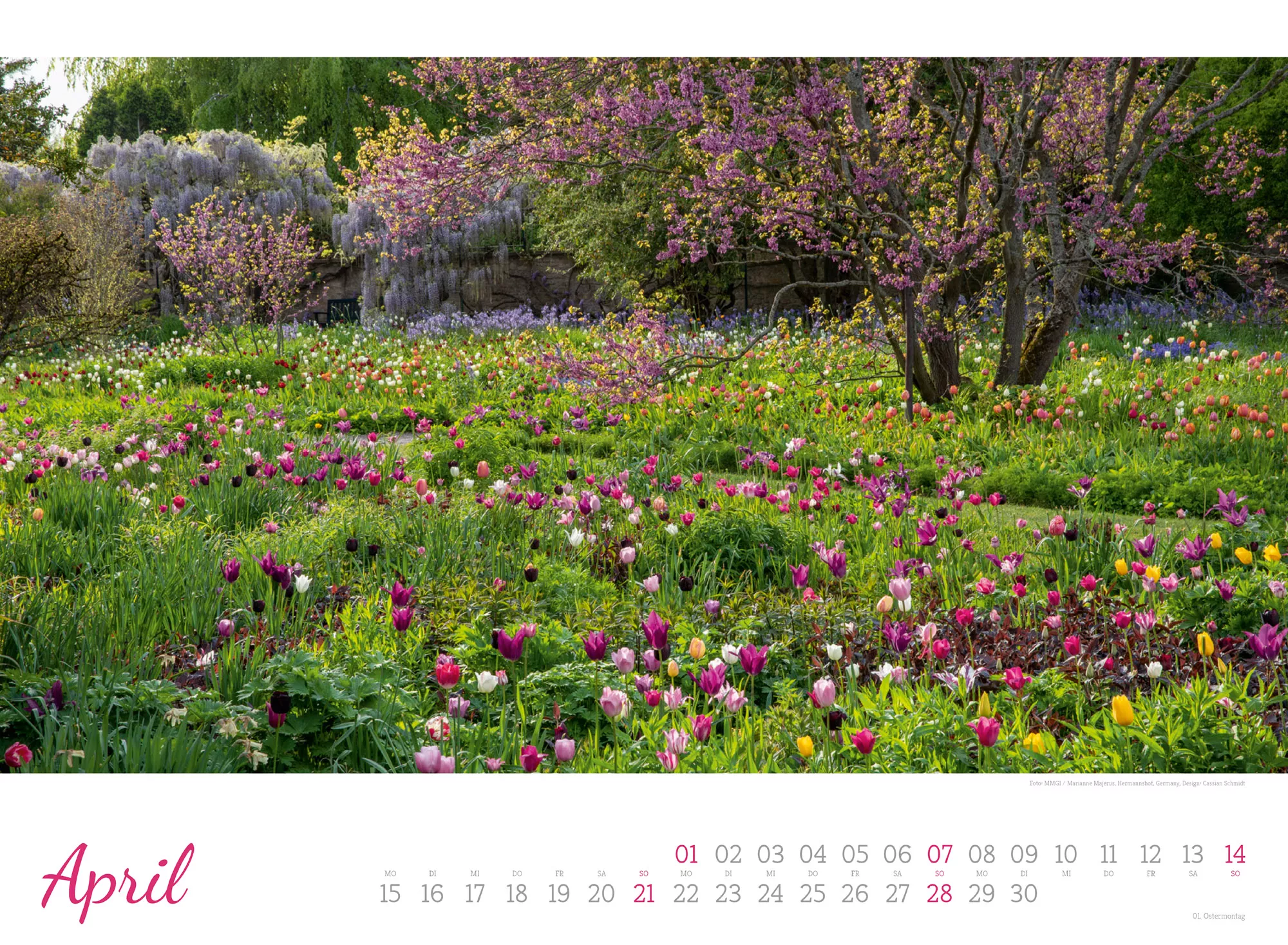 Ackermann Kalender Zauberhafte Landgärten 2024 - Innenansicht 04
