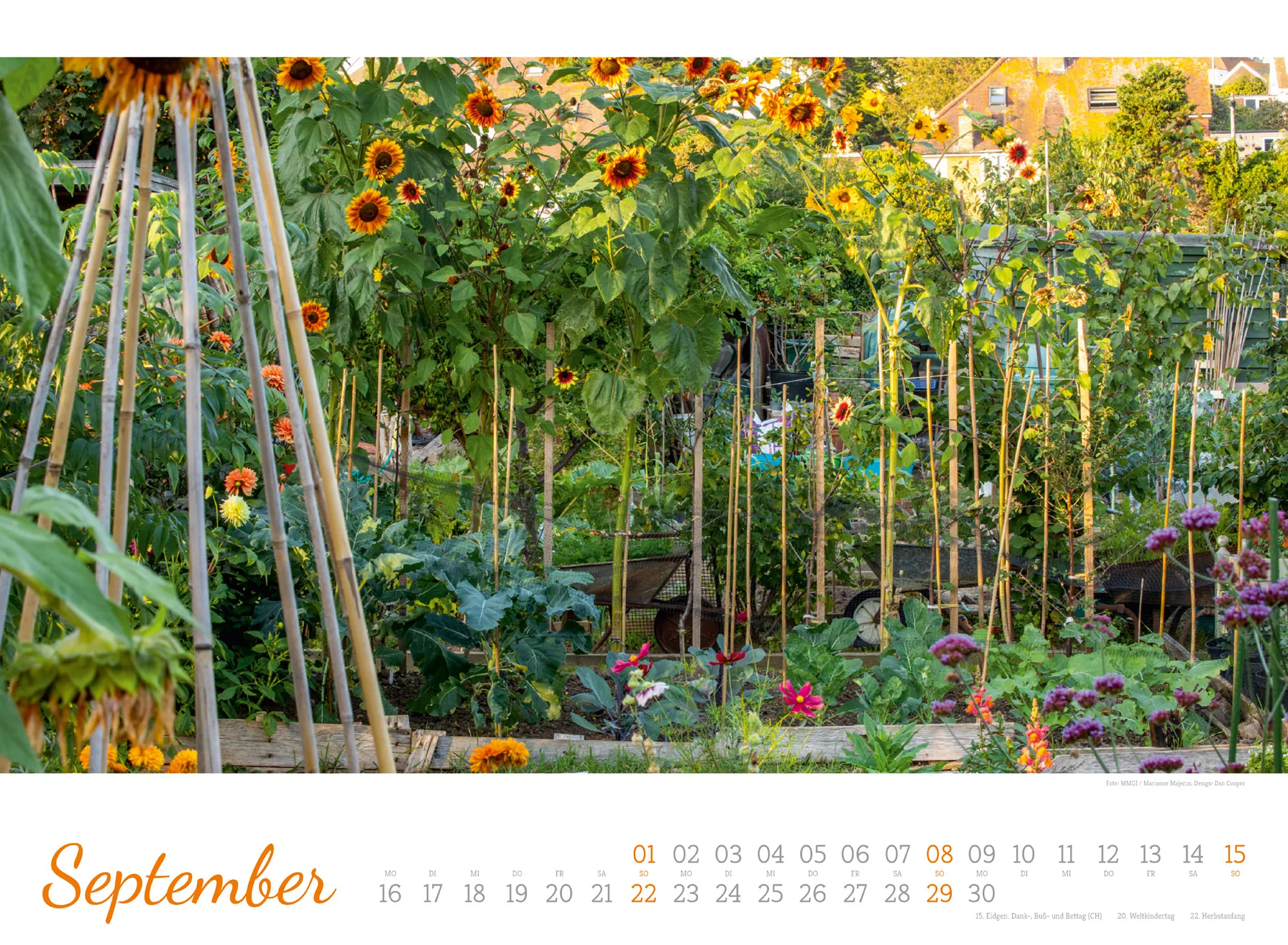 Ackermann Kalender Zauberhafte Landgärten 2024 - Innenansicht 09