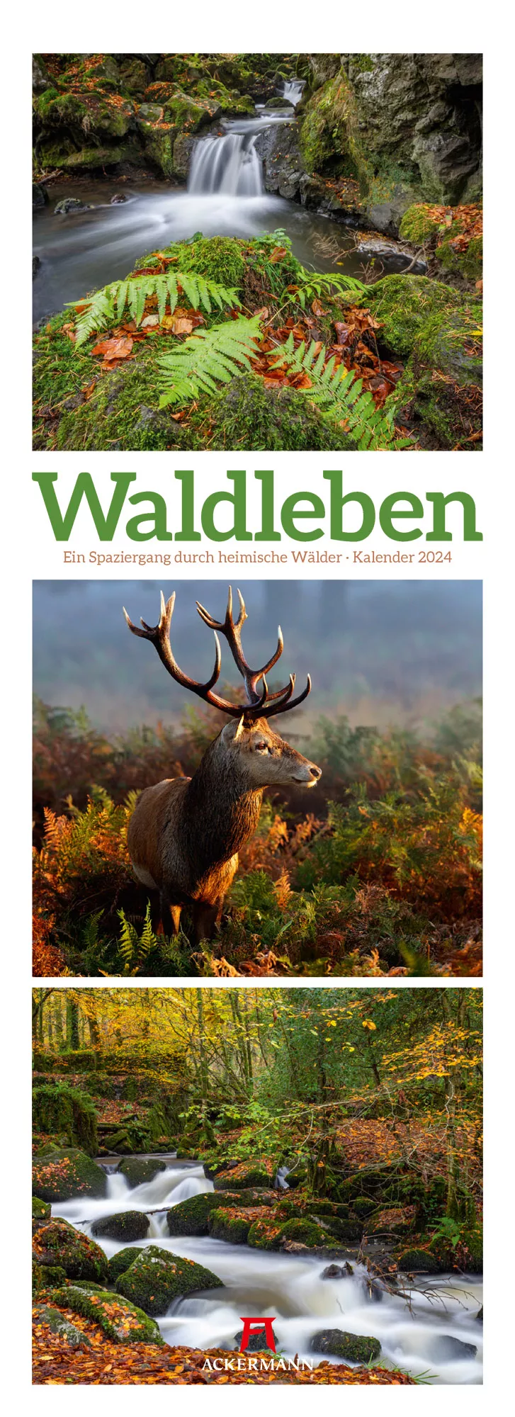 Ackermann Kalender Waldleben 2024 - Titelblatt
