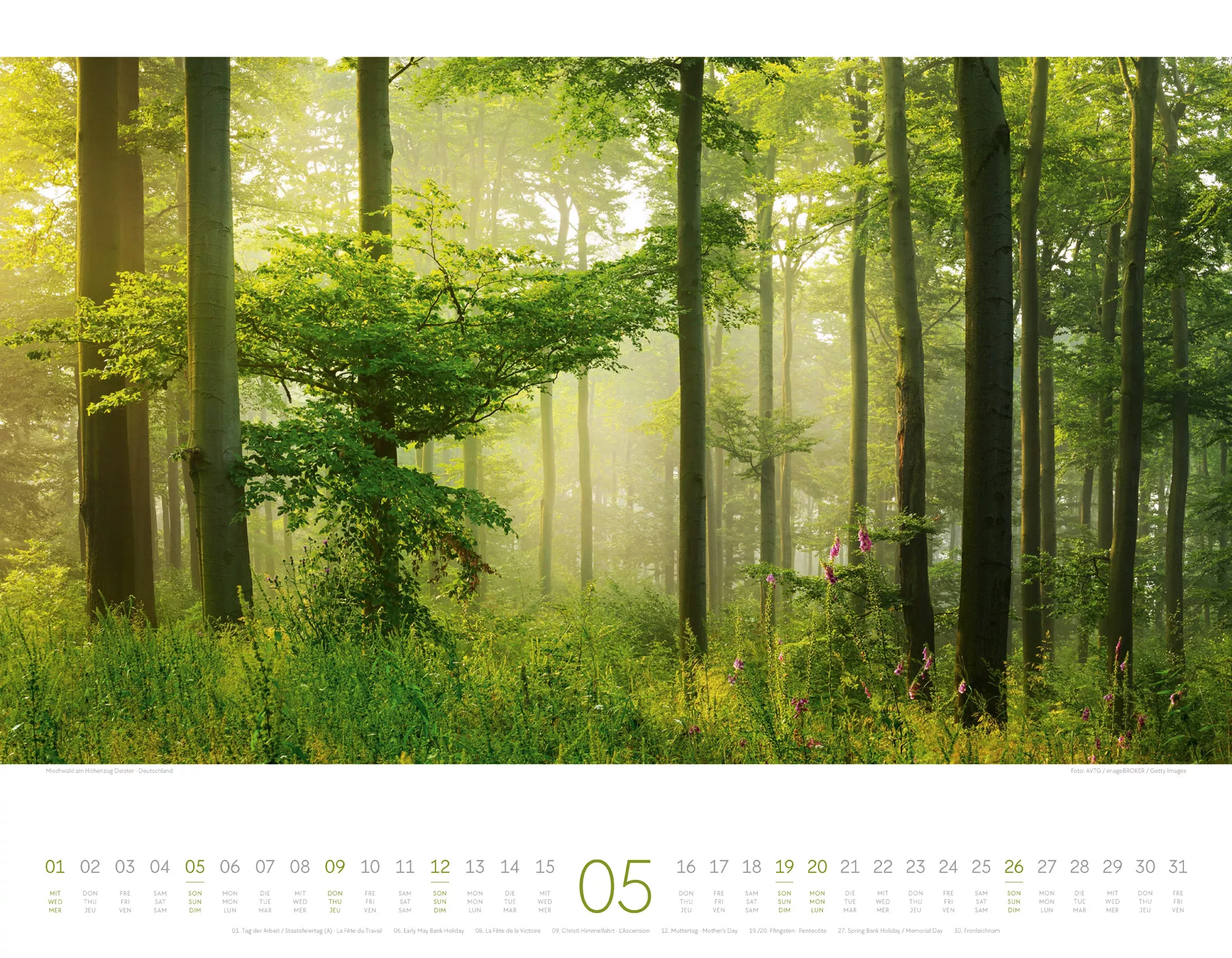 Ackermann Kalender Morgenlicht 2024 - Innenansicht 05
