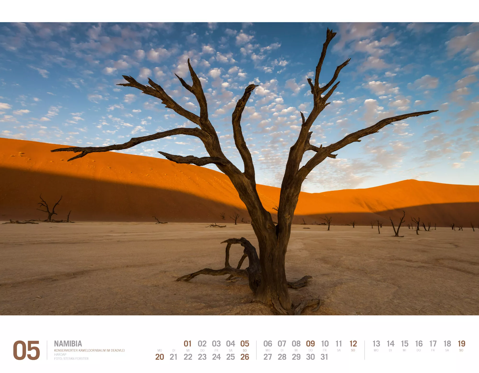 Ackermann Kalender Namibia 2024 - Innenansicht 05