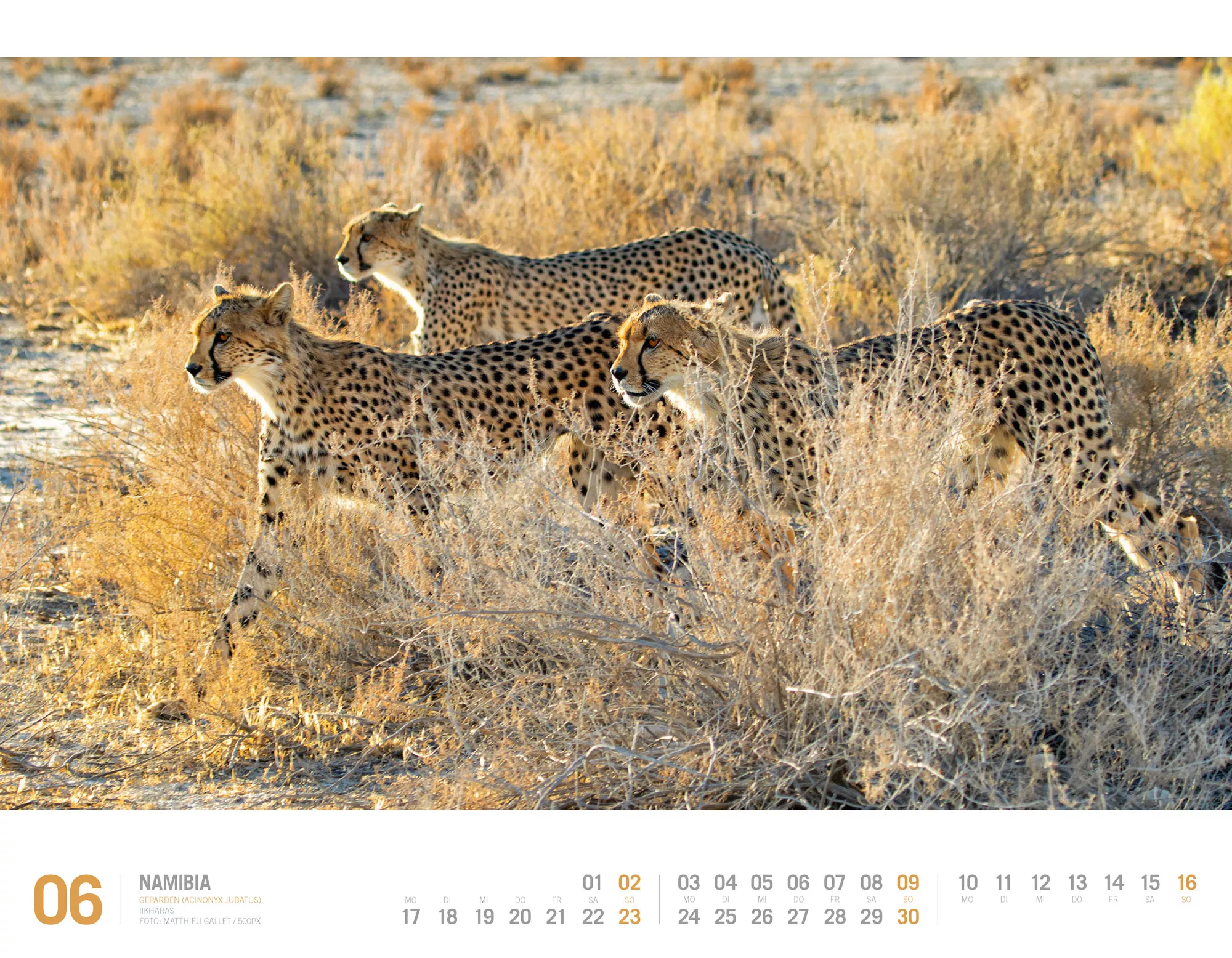 Ackermann Kalender Namibia 2024 - Innenansicht 06