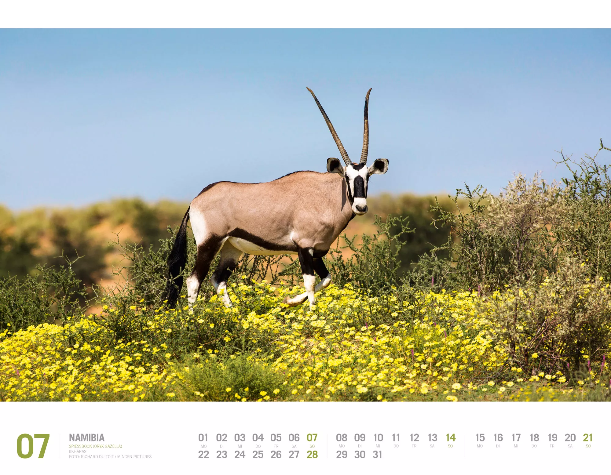 Ackermann Kalender Namibia 2024 - Innenansicht 07